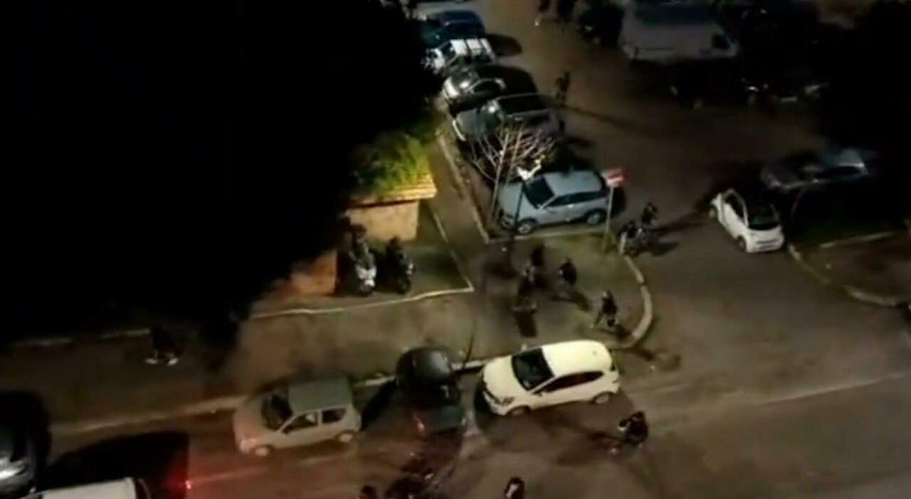 7213091_06080044_ultras_stella_rossa