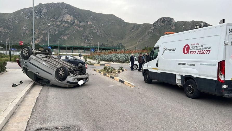 IMG-20230225-WA0015_edit_230985982247044-892x502