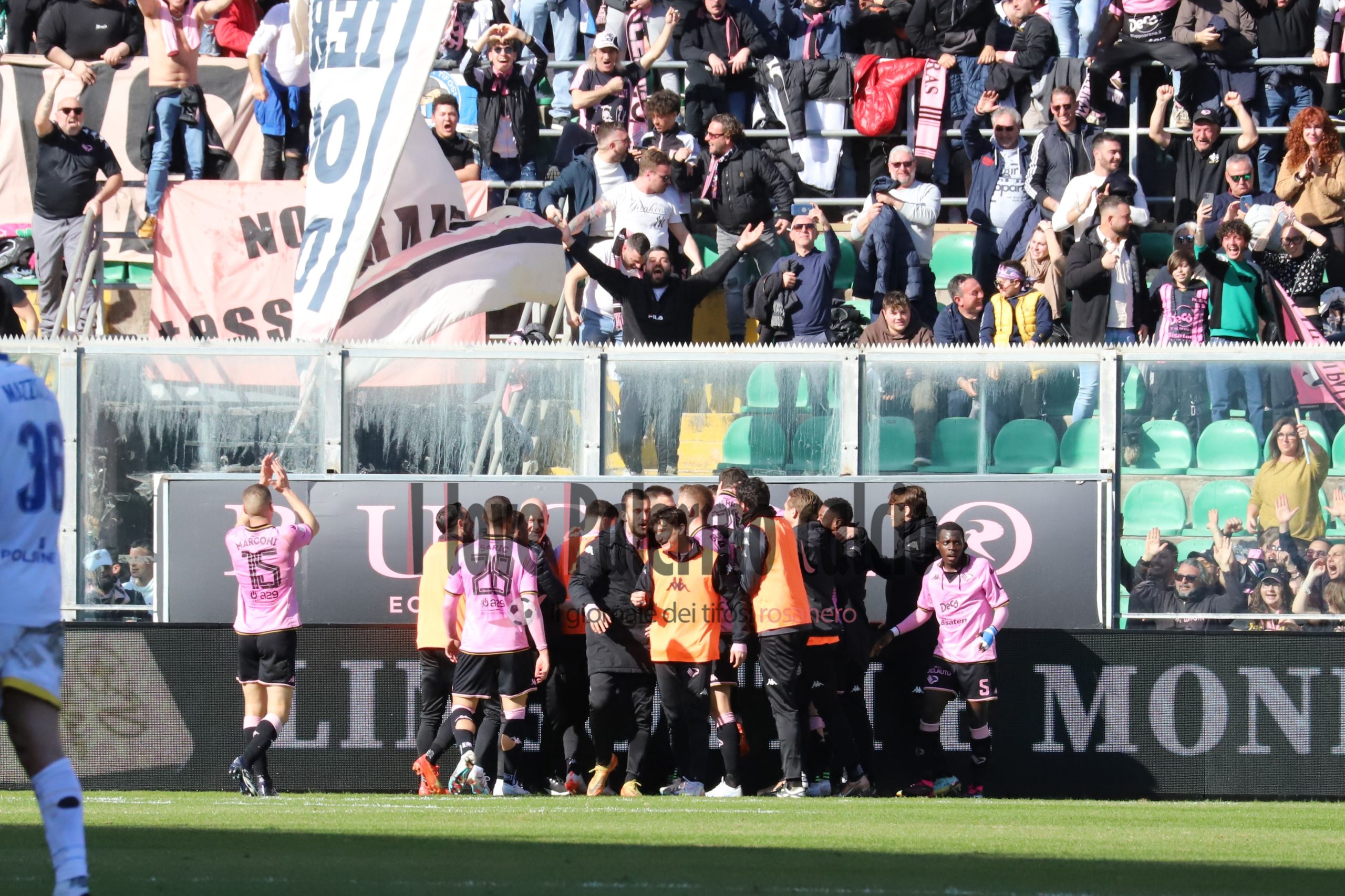 palermo frosinone verre gol esulta squadra