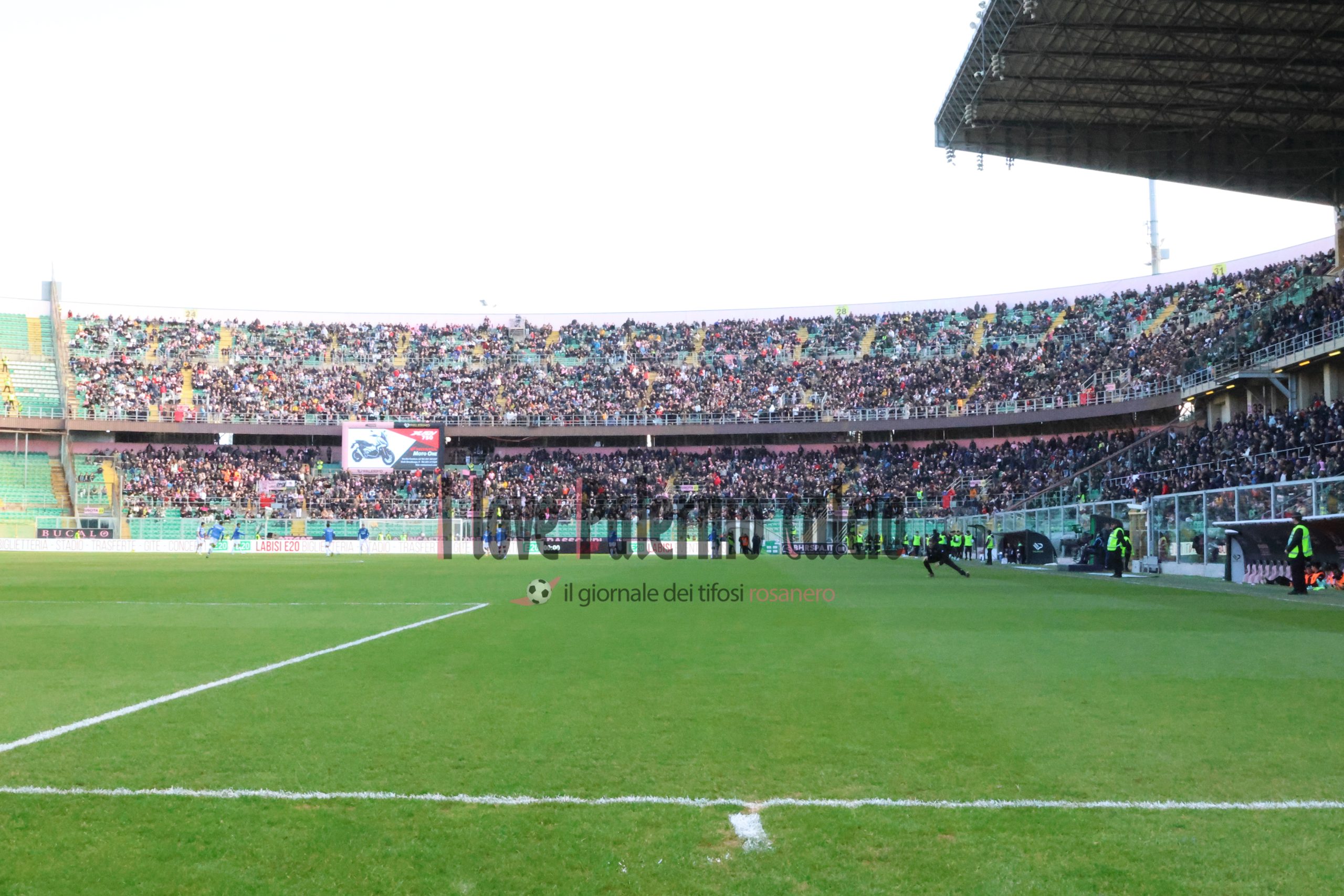 palermo frosinone 1-1 serie b (1) renzo barbera