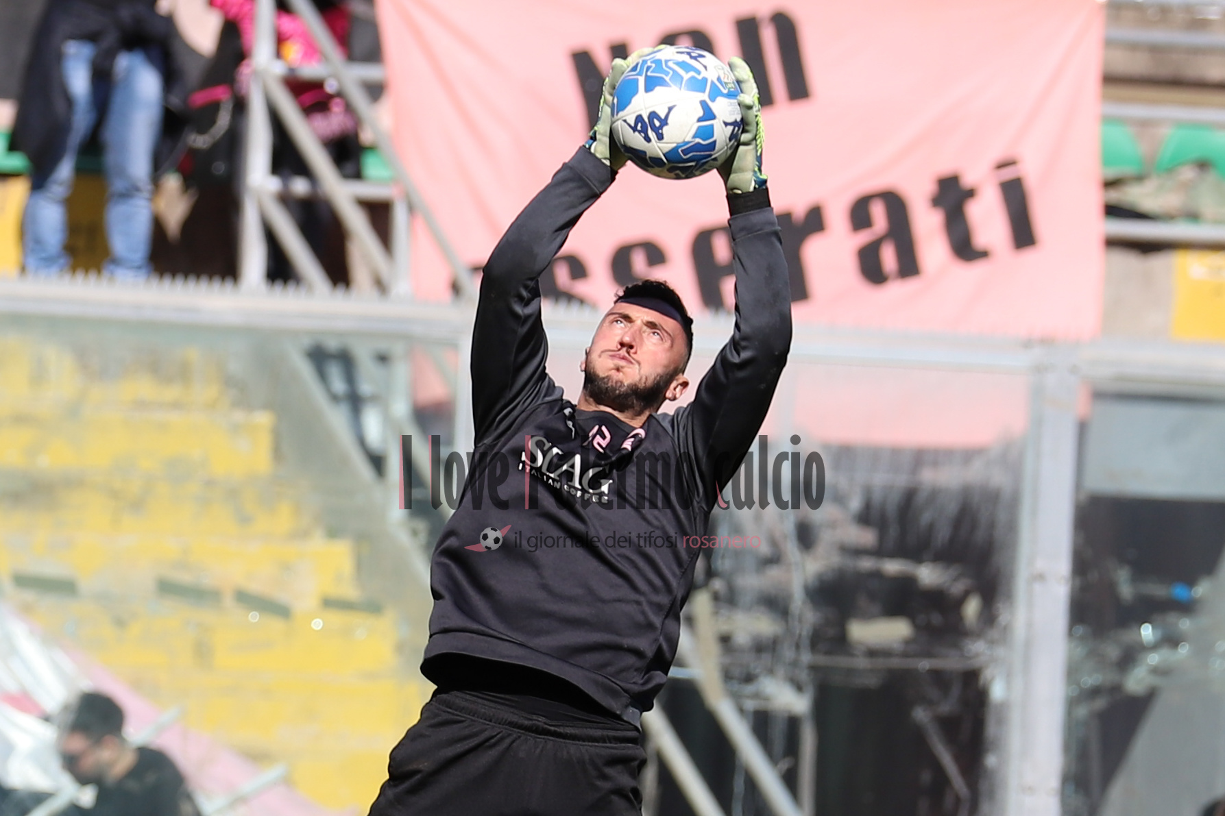 palermo frosinone 1-1 serie b (10) pigliacelli