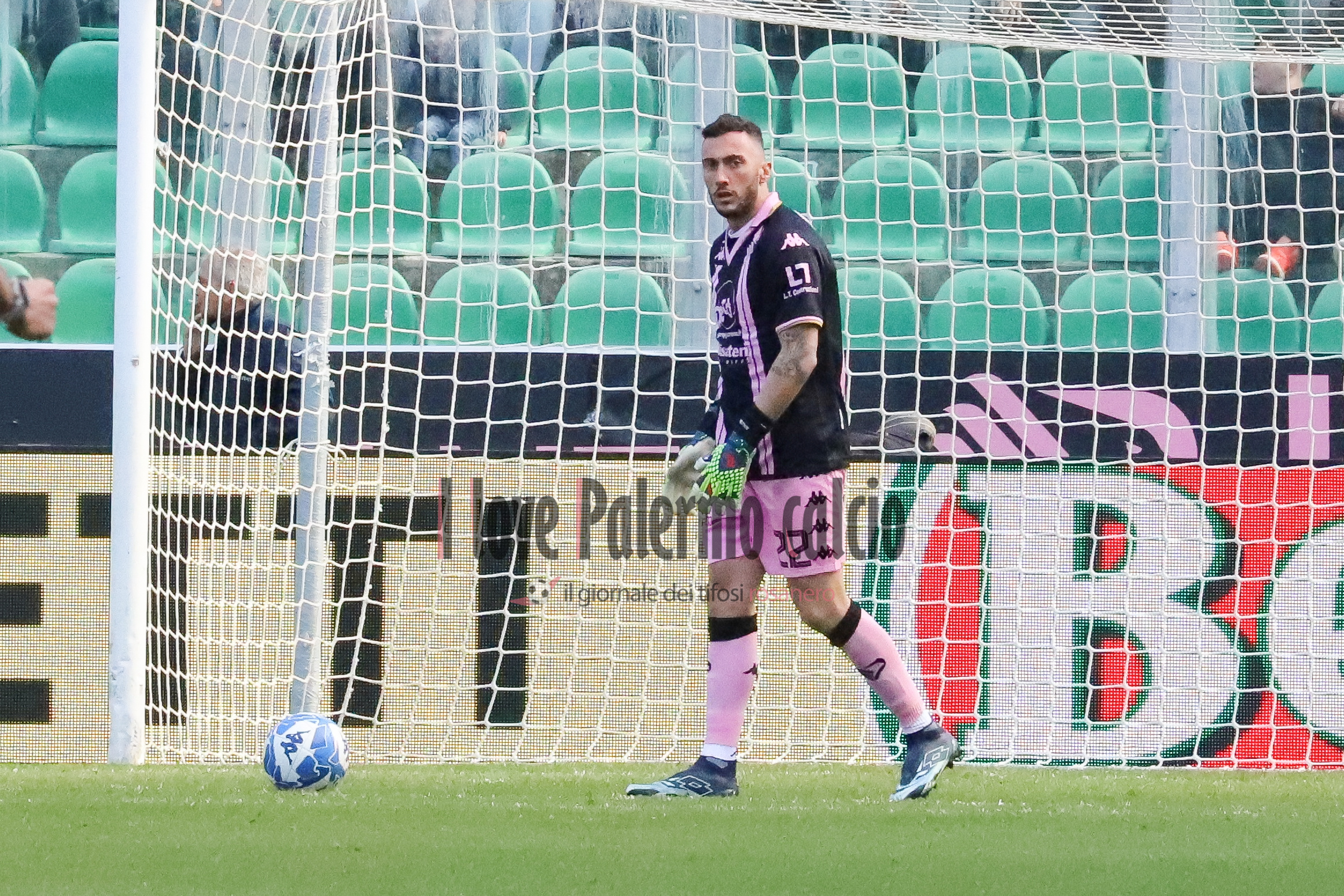 palermo frosinone 1-1 serie b (113) pigliacelli