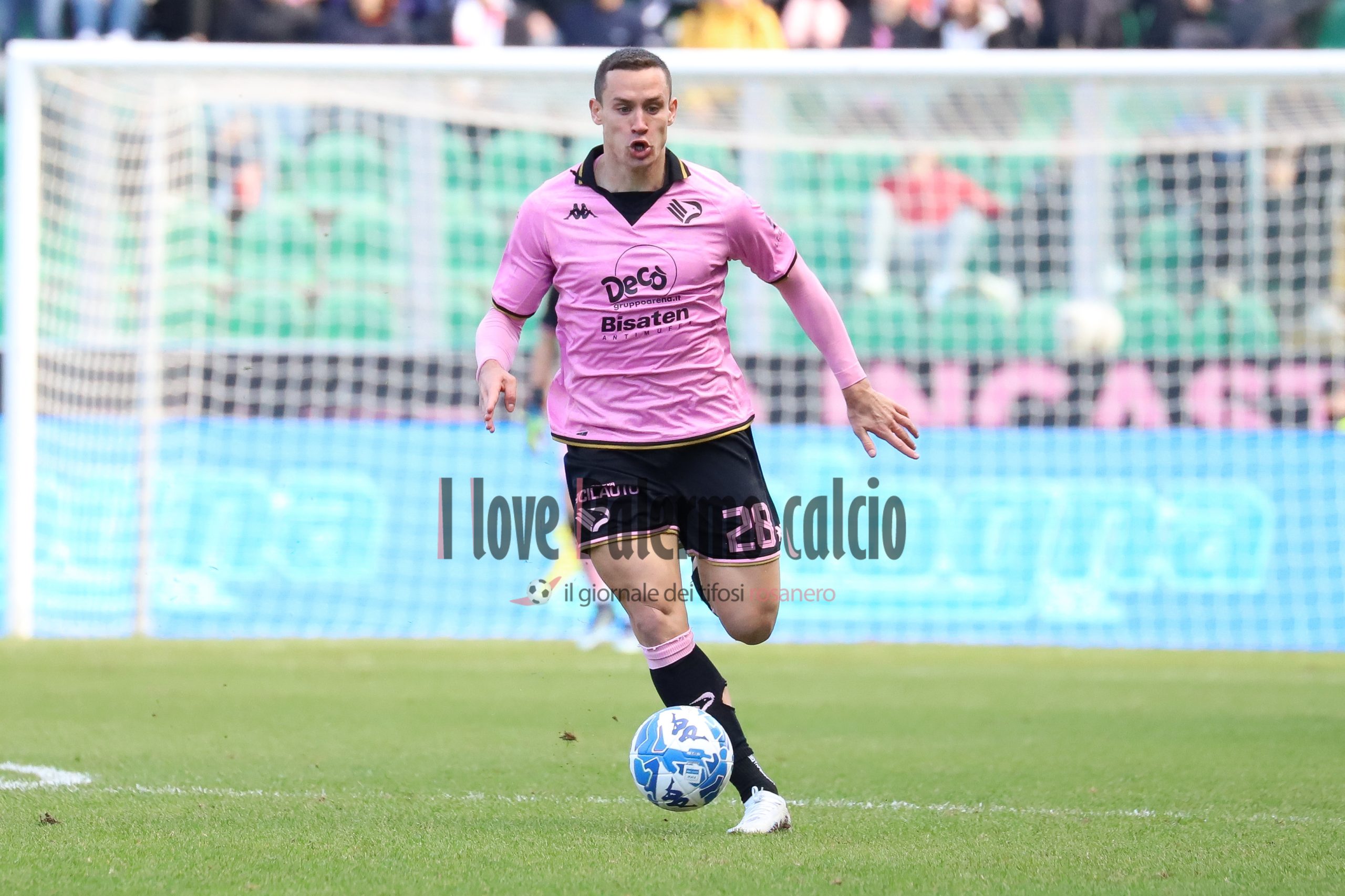 palermo frosinone 1-1 serie b (115) saric