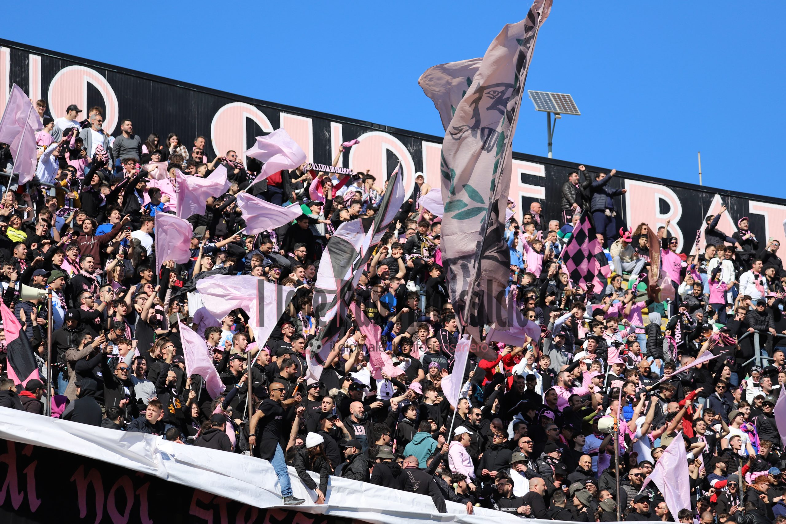 palermo frosinone 1-1 serie b (12) tifosi