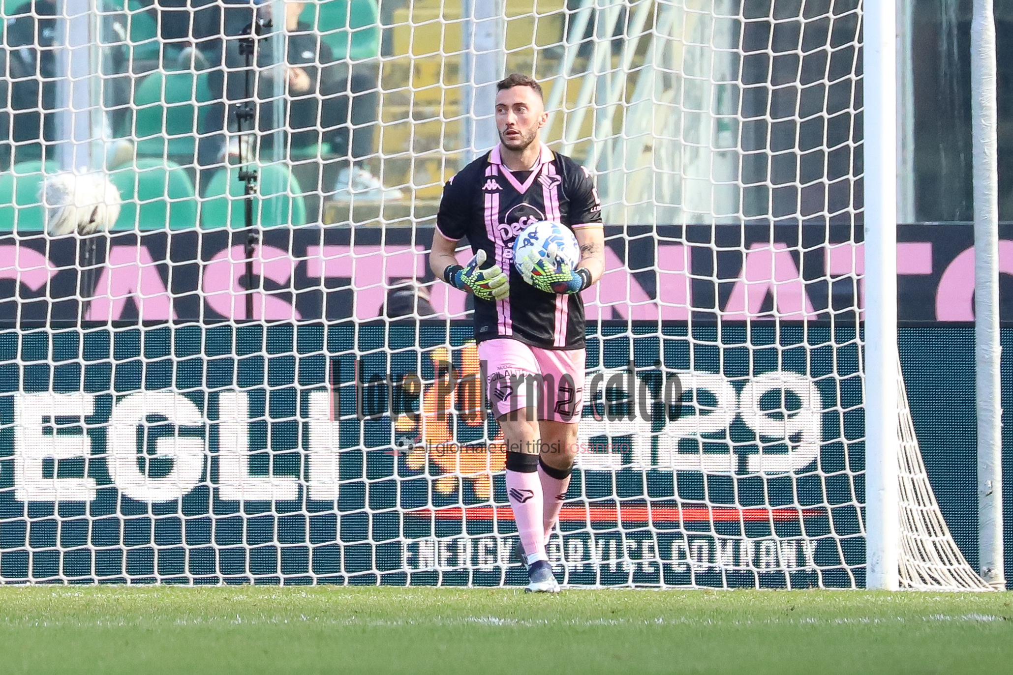 palermo frosinone 1-1 serie b (123) pigliacelli