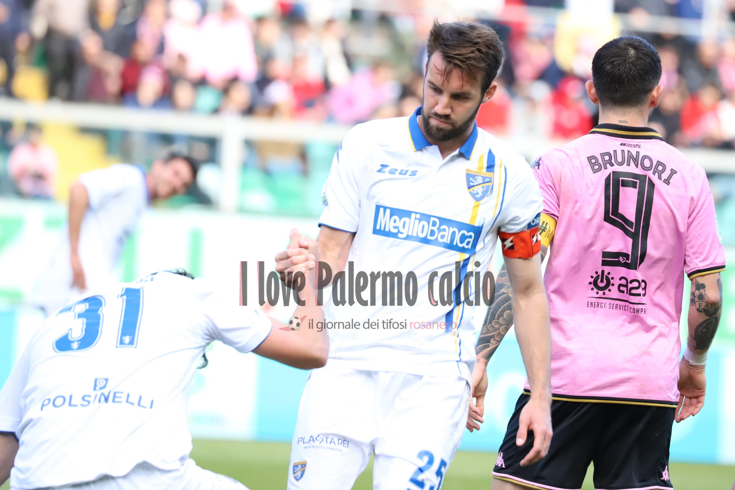 palermo frosinone 1-1 serie b (143) szyminski brunori