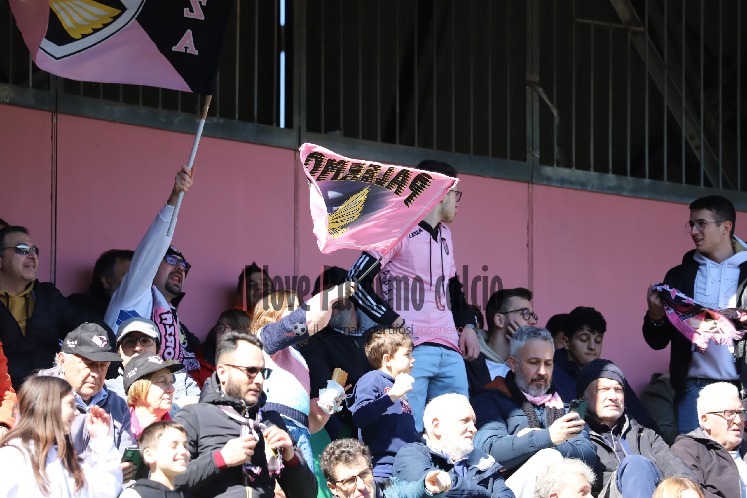 palermo frosinone 1-1 serie b (15) tifosi