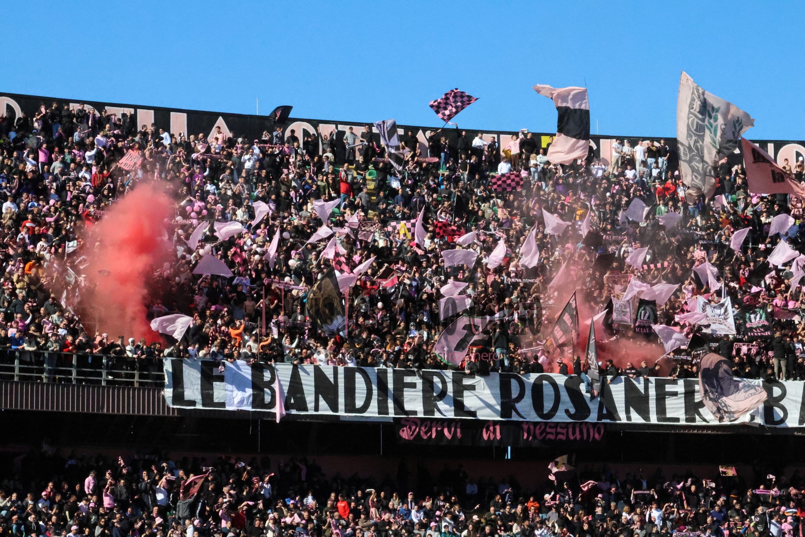 palermo frosinone 1-1 serie b (165) tifosi