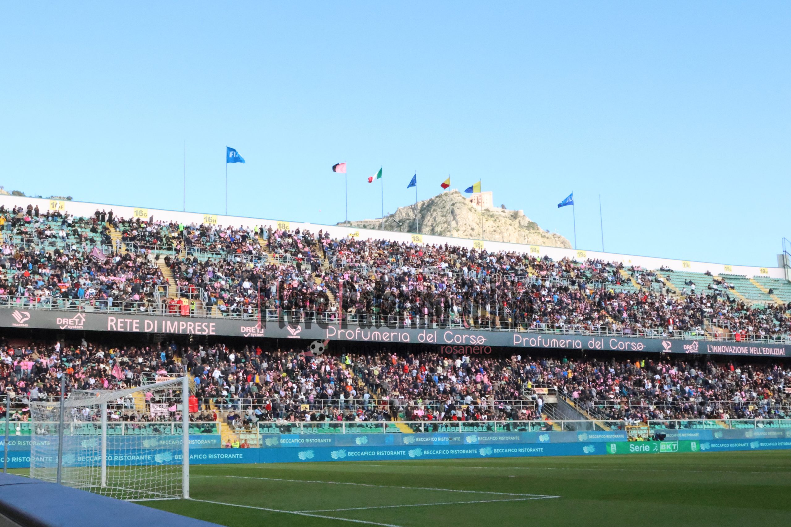 palermo frosinone 1-1 serie b (3) montepellegrino renzo barbera