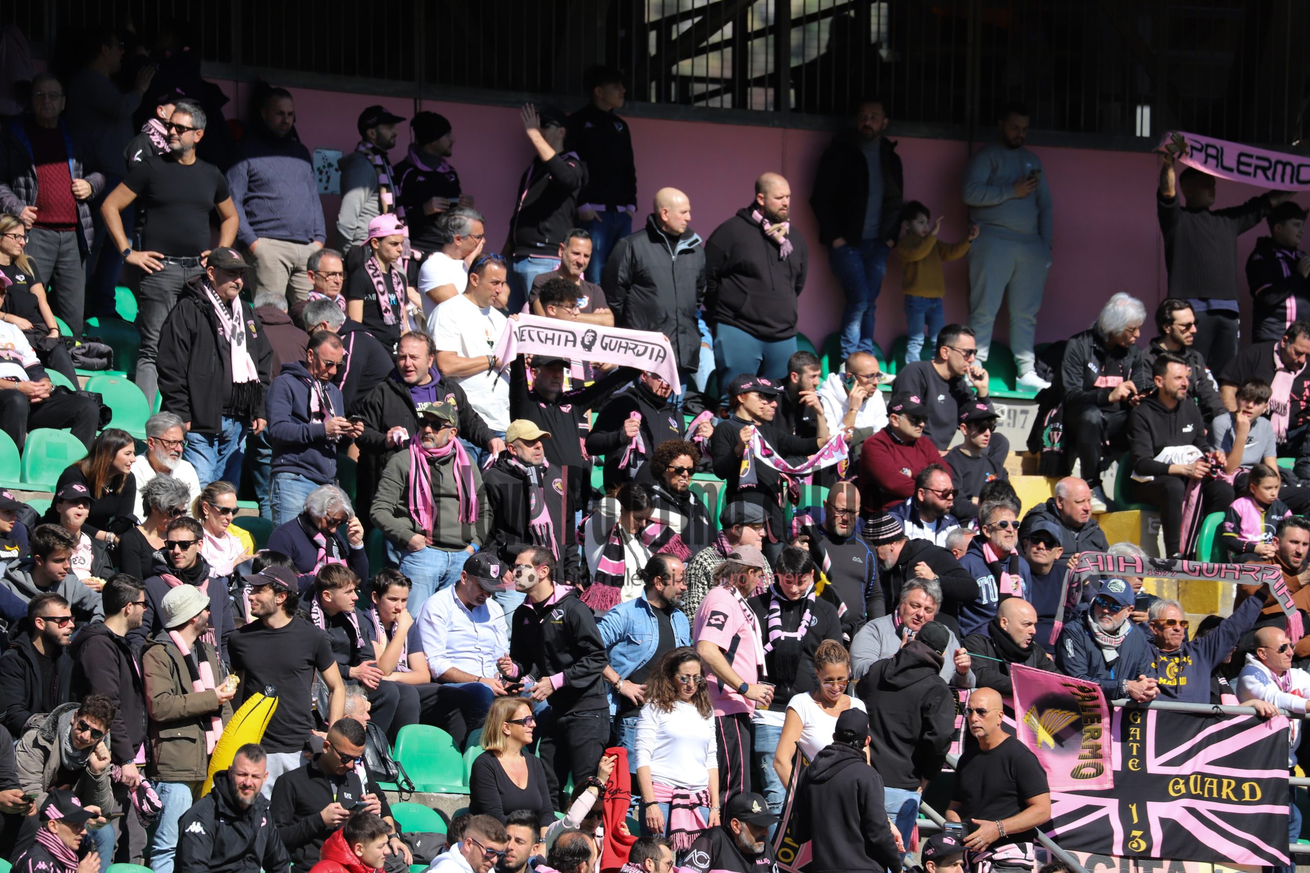 palermo frosinone 1-1 serie b (31) tifosi