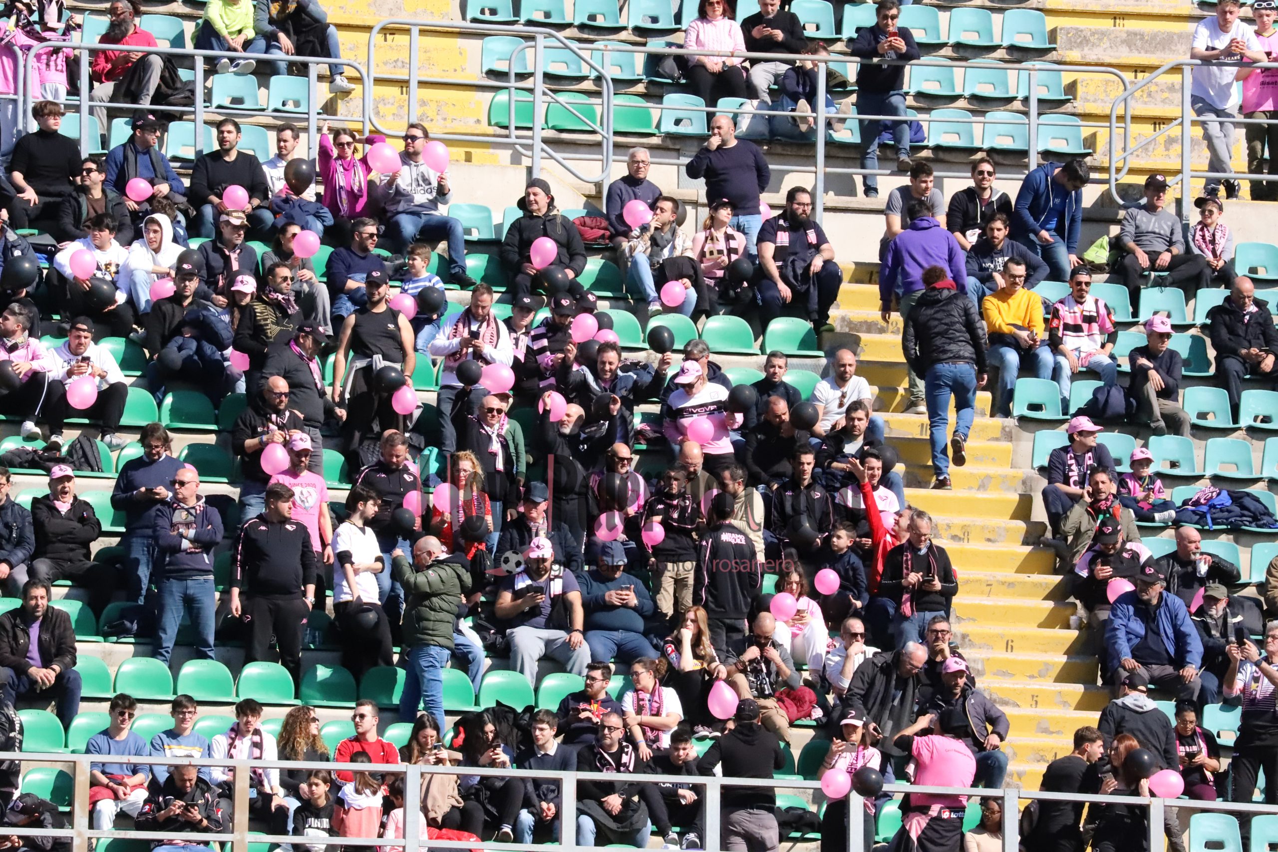 palermo frosinone 1-1 serie b (36) tifosi