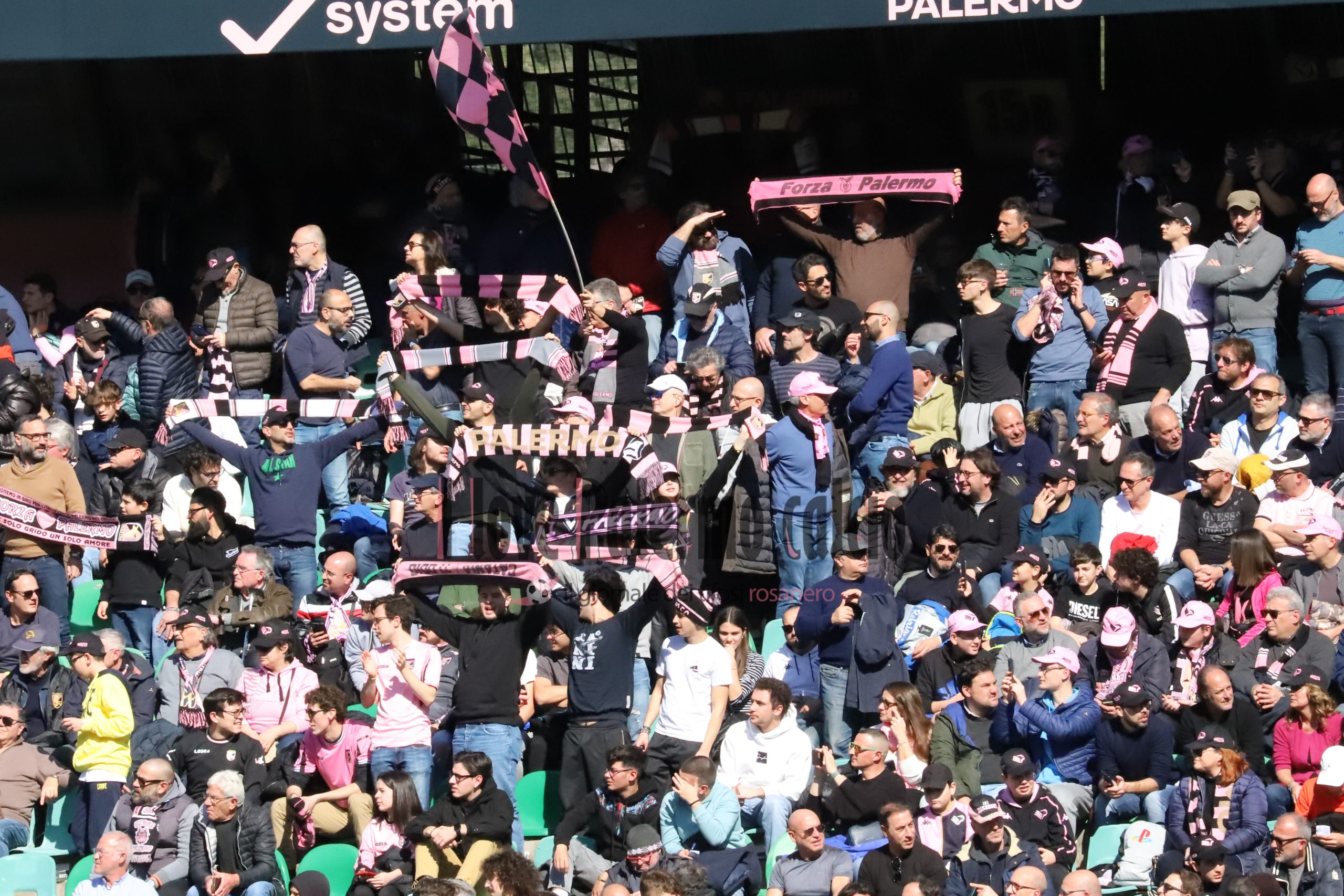 palermo frosinone 1-1 serie b (41) tifosi