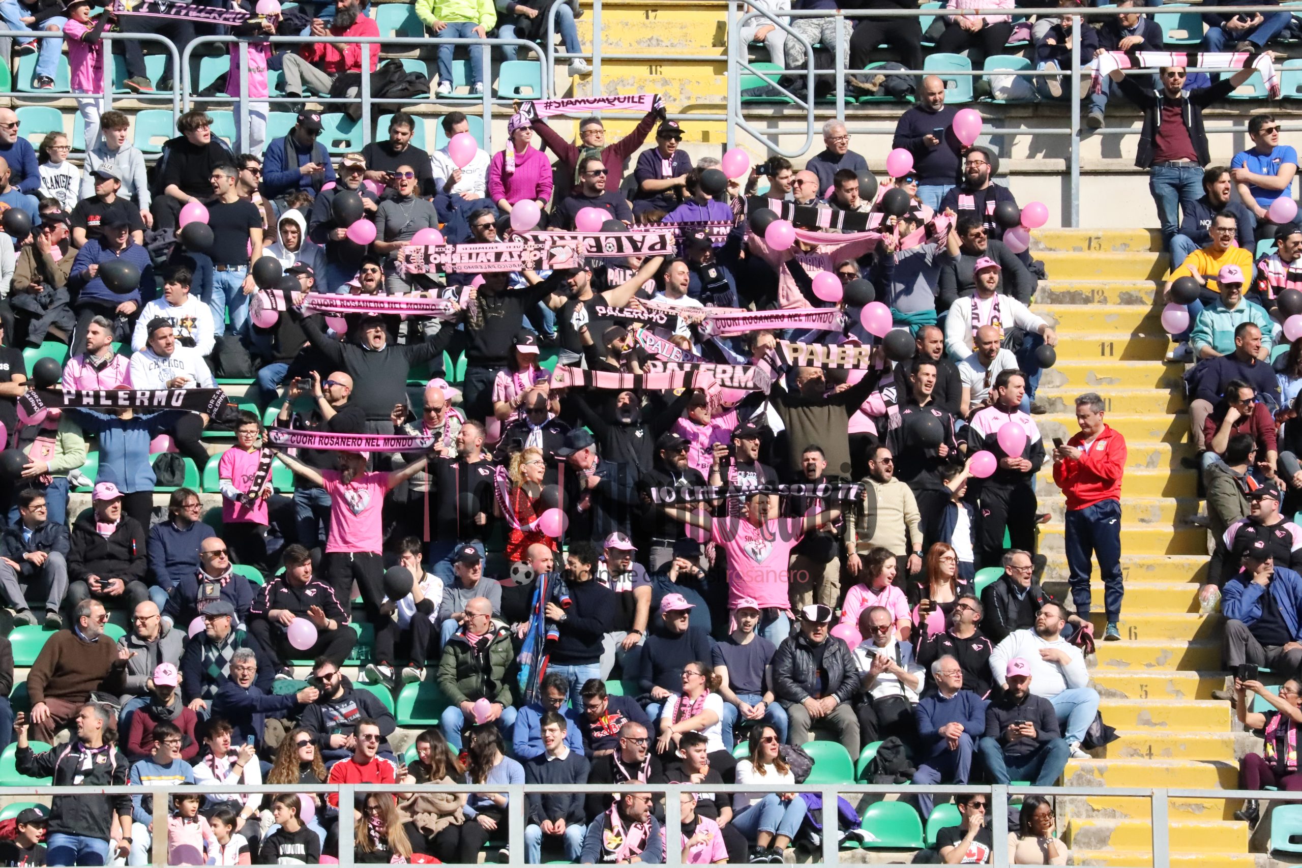 palermo frosinone 1-1 serie b (42) tifosi