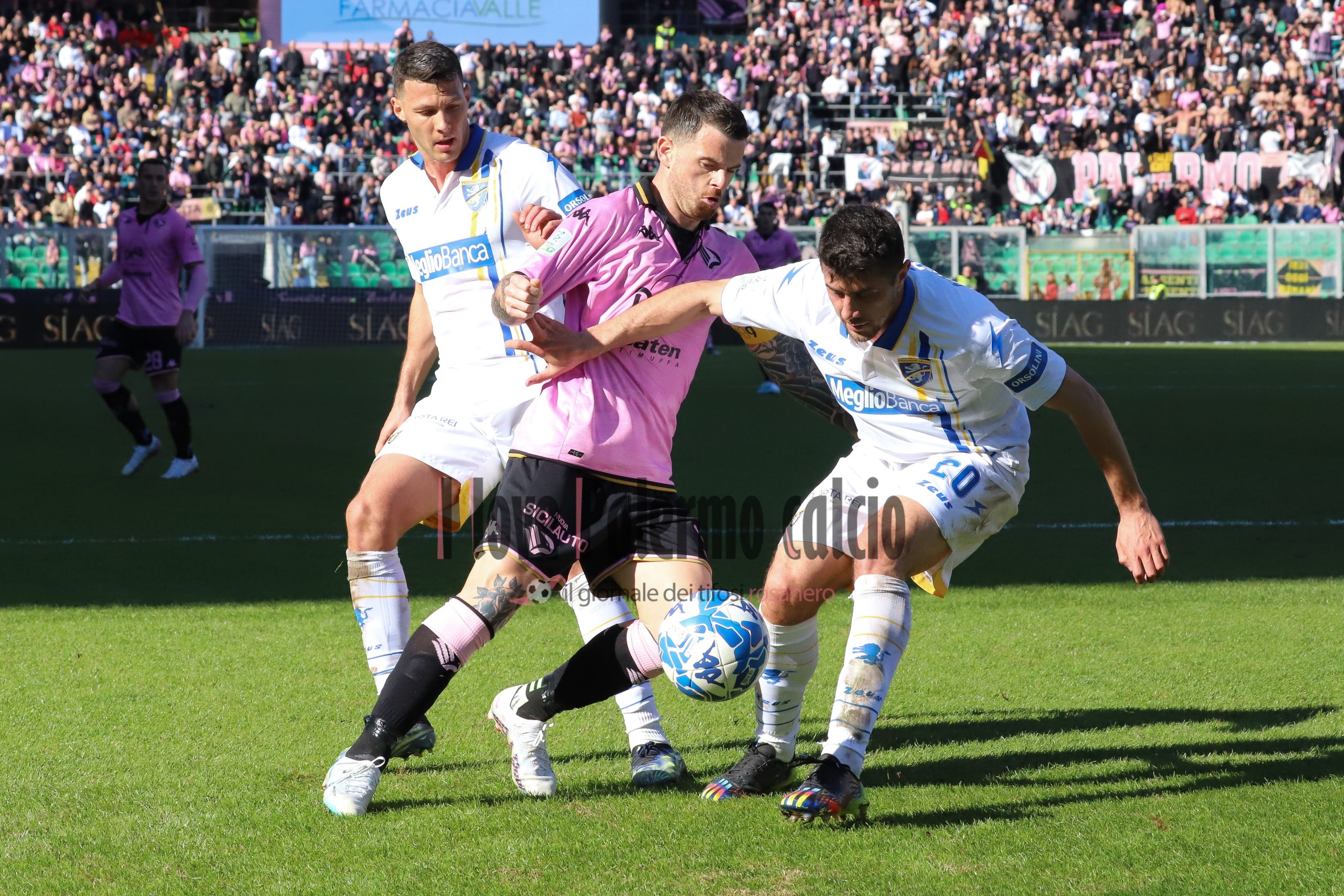 palermo frosinone 1-1 serie b (72) brunori mazzitelli