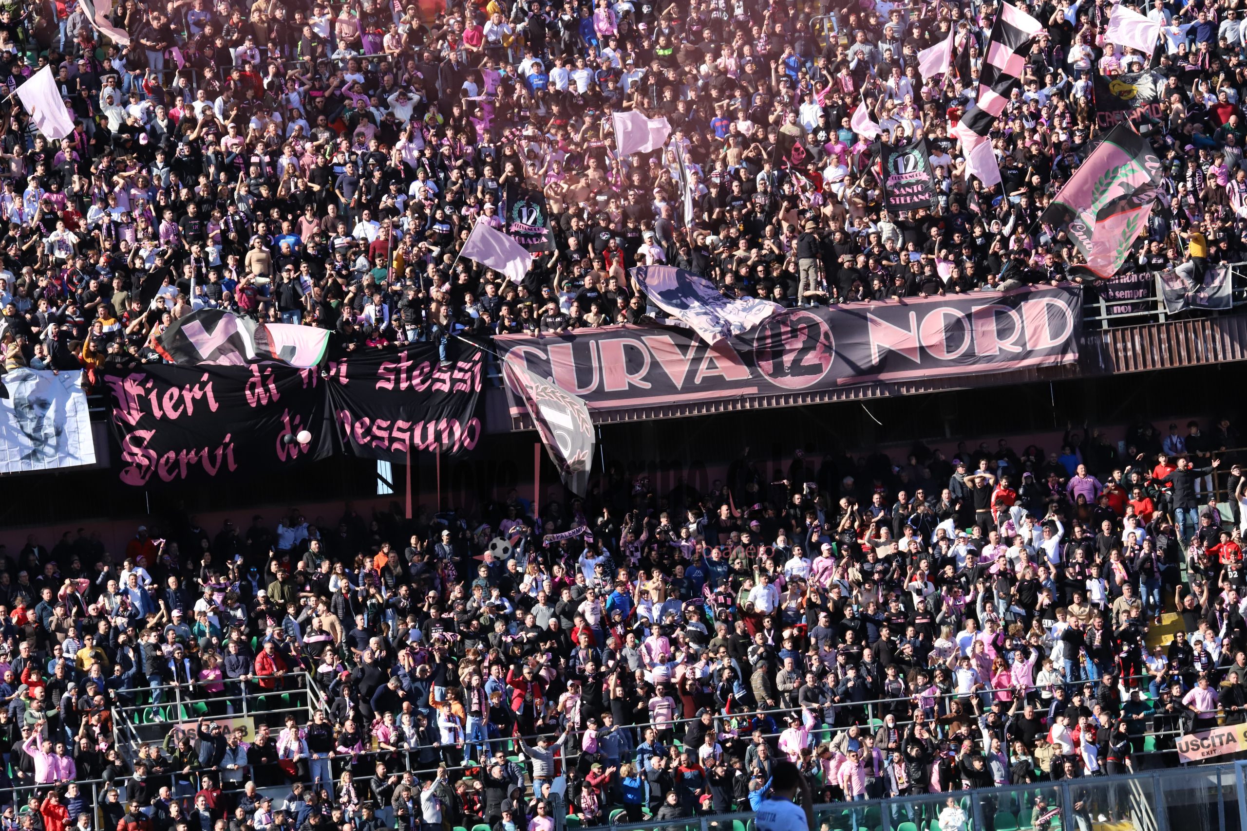 palermo frosinone 1-1 serie b (87) tifosi