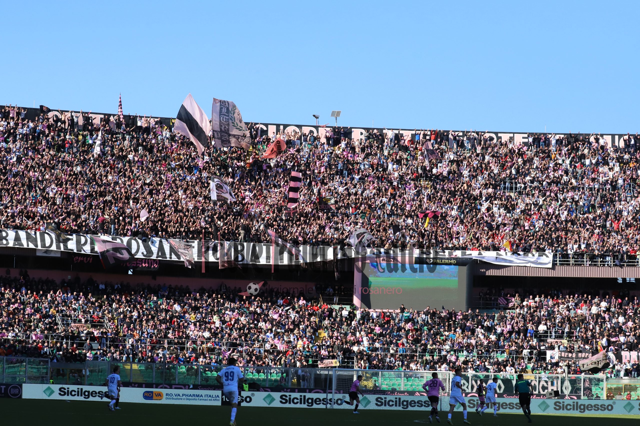 palermo frosinone serieb (10) tifosi