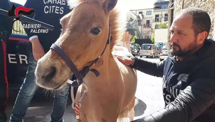 170940787-9b16693a-5c9b-4cff-9199-6643e7dc5711