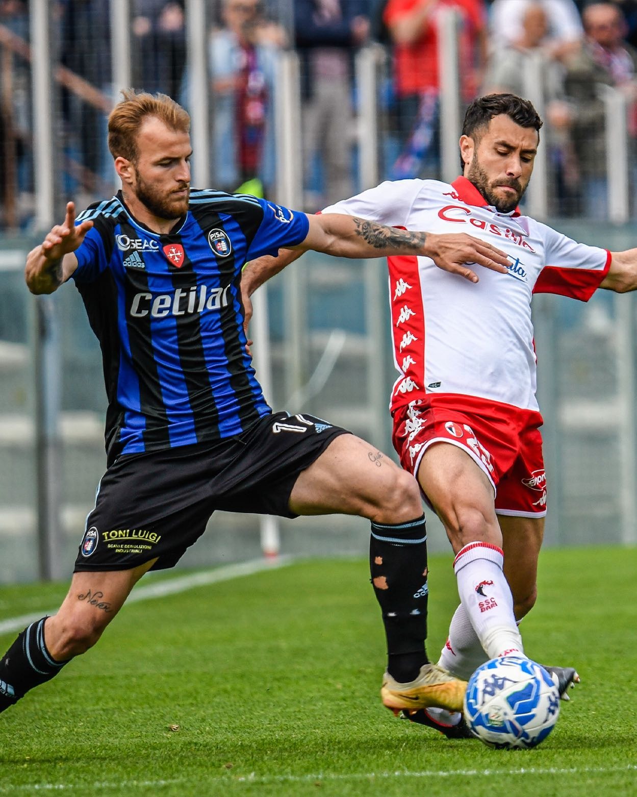 4e7c021f-2a16-4792-8a9b-2e63cc713042