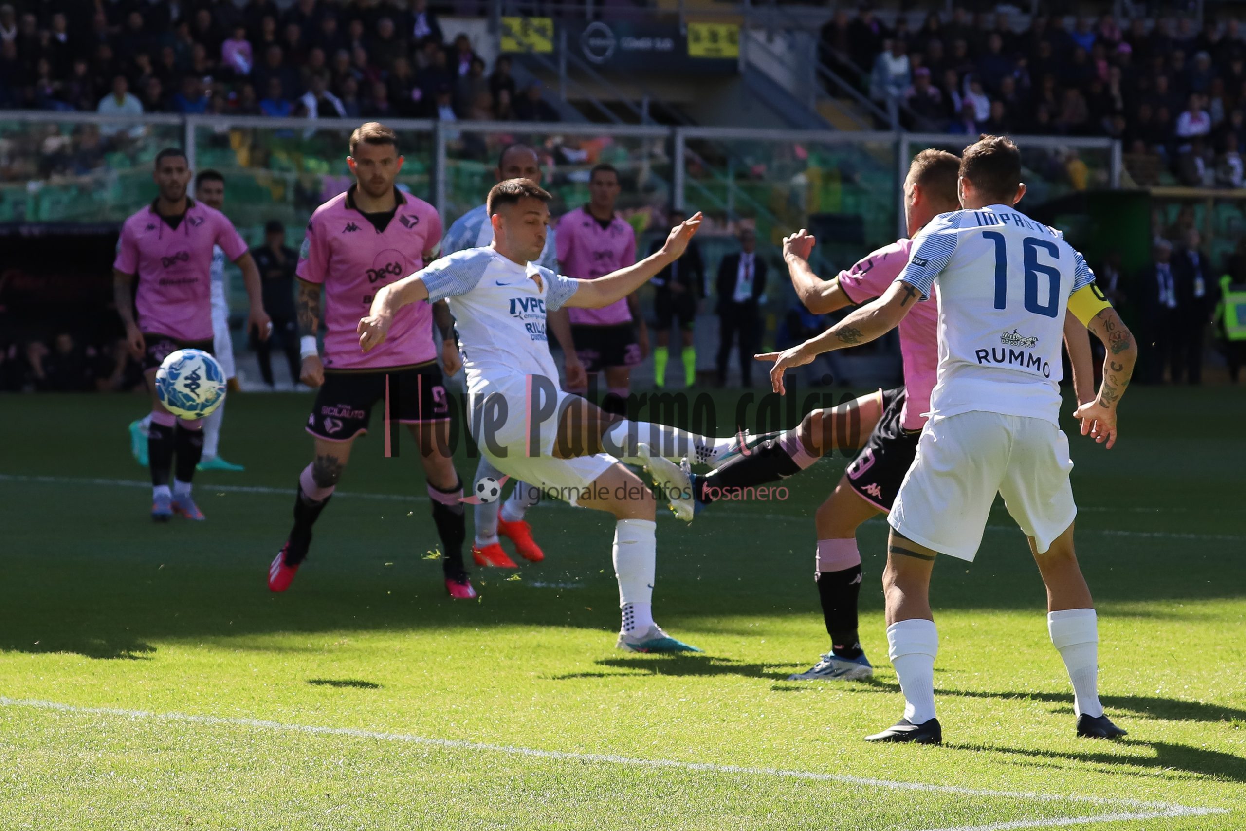 Palermo-Benevento Serie B 1-1 (104) sala