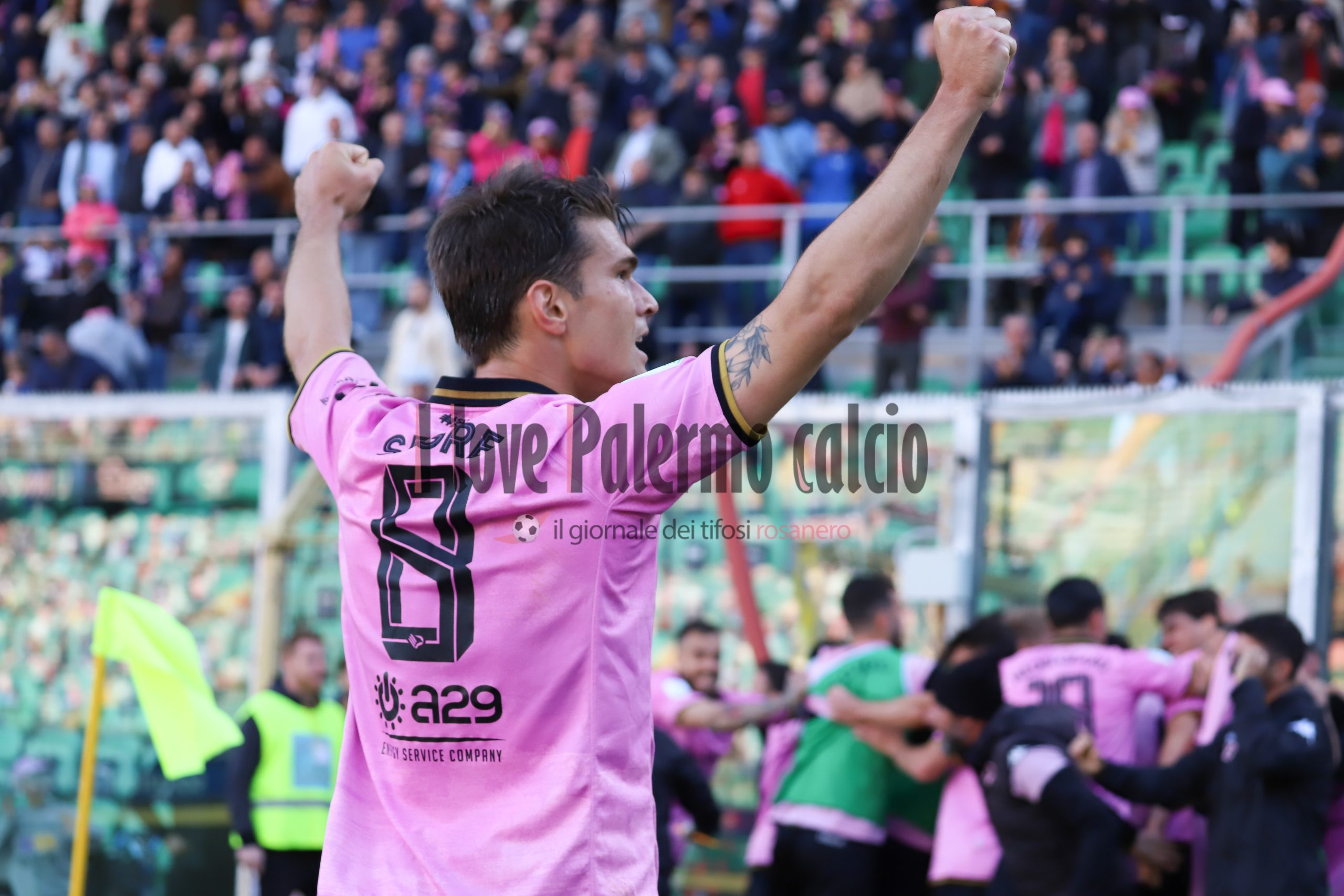 Palermo-Benevento Serie B 1-1 (58)  segre