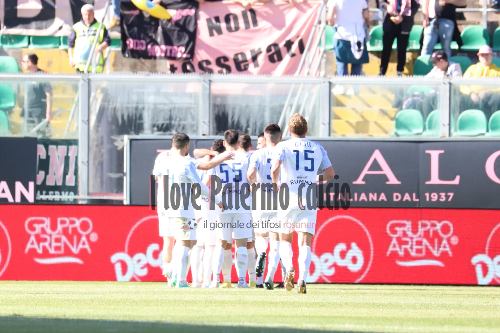 palermo benevento serie b 23-24 (10)