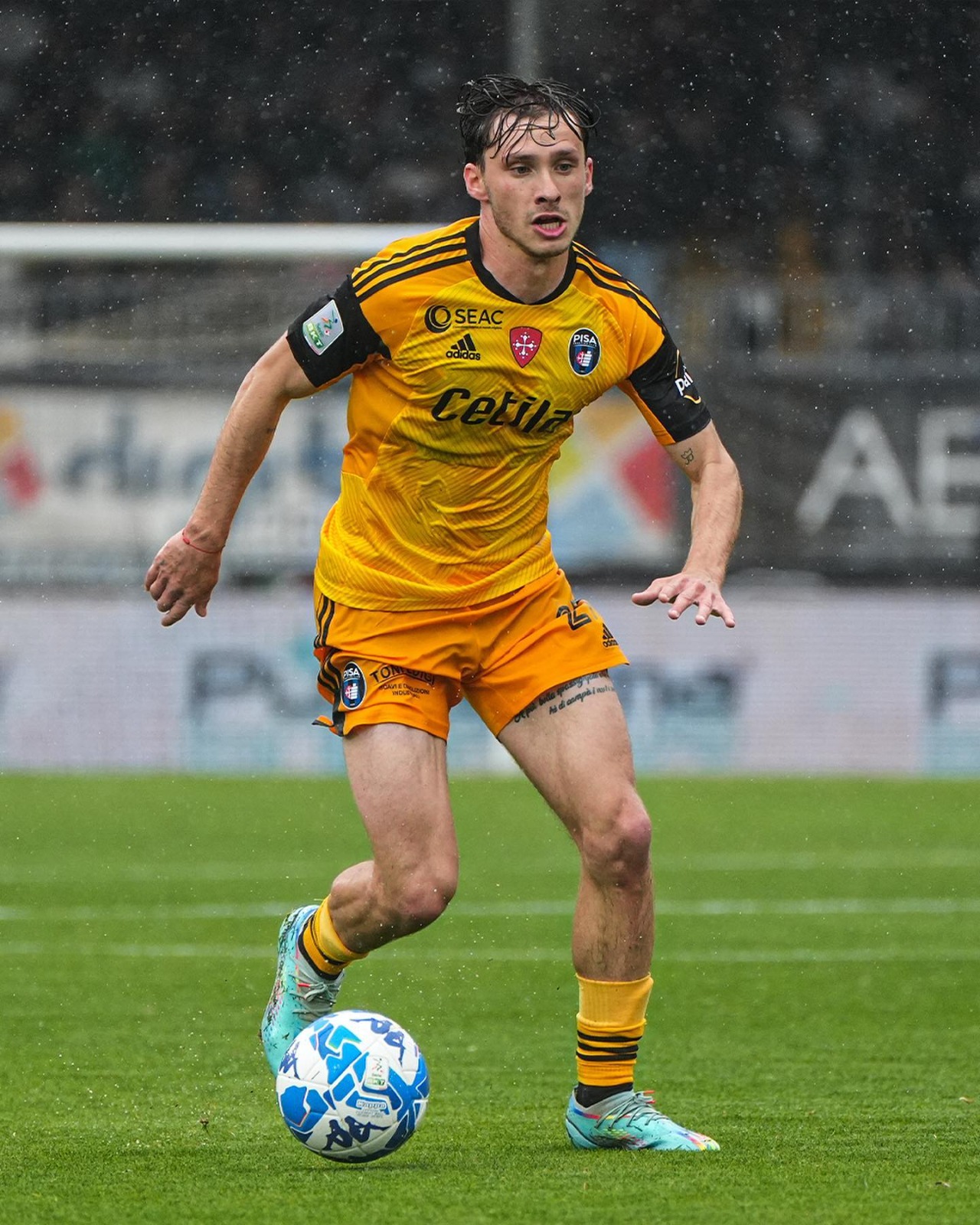 0a5bdb6c-9325-4ec1-8e72-69b33a46bfad