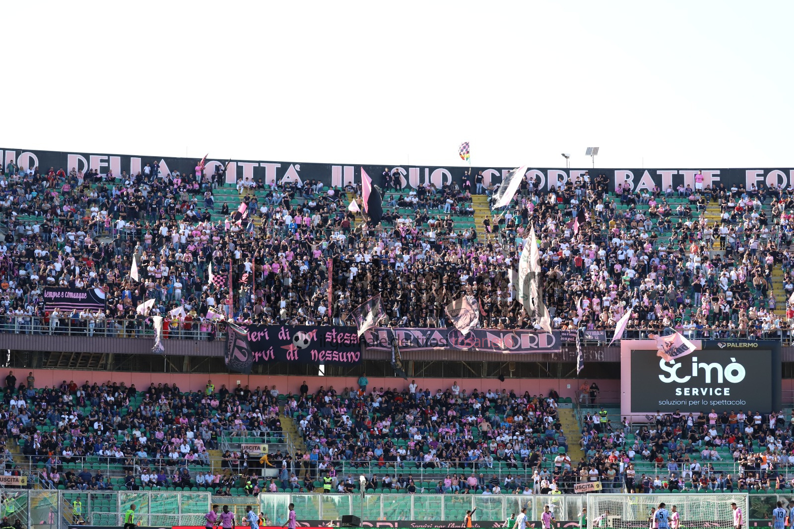 palermo spal tifosi