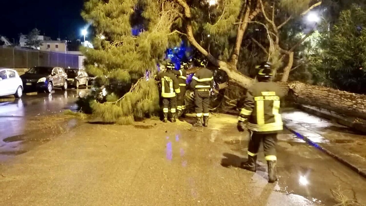 Albero caduto via Crispi 1