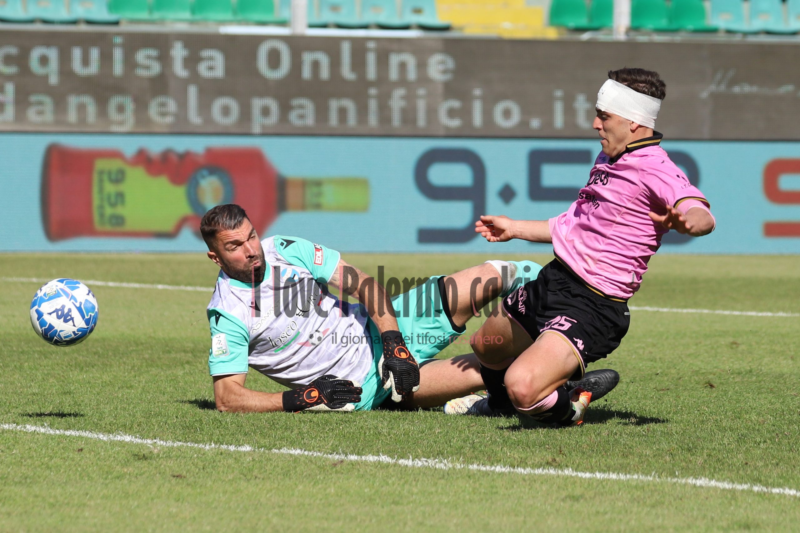 Serie B Palermo-Spal 2-0 (25) buttaro
