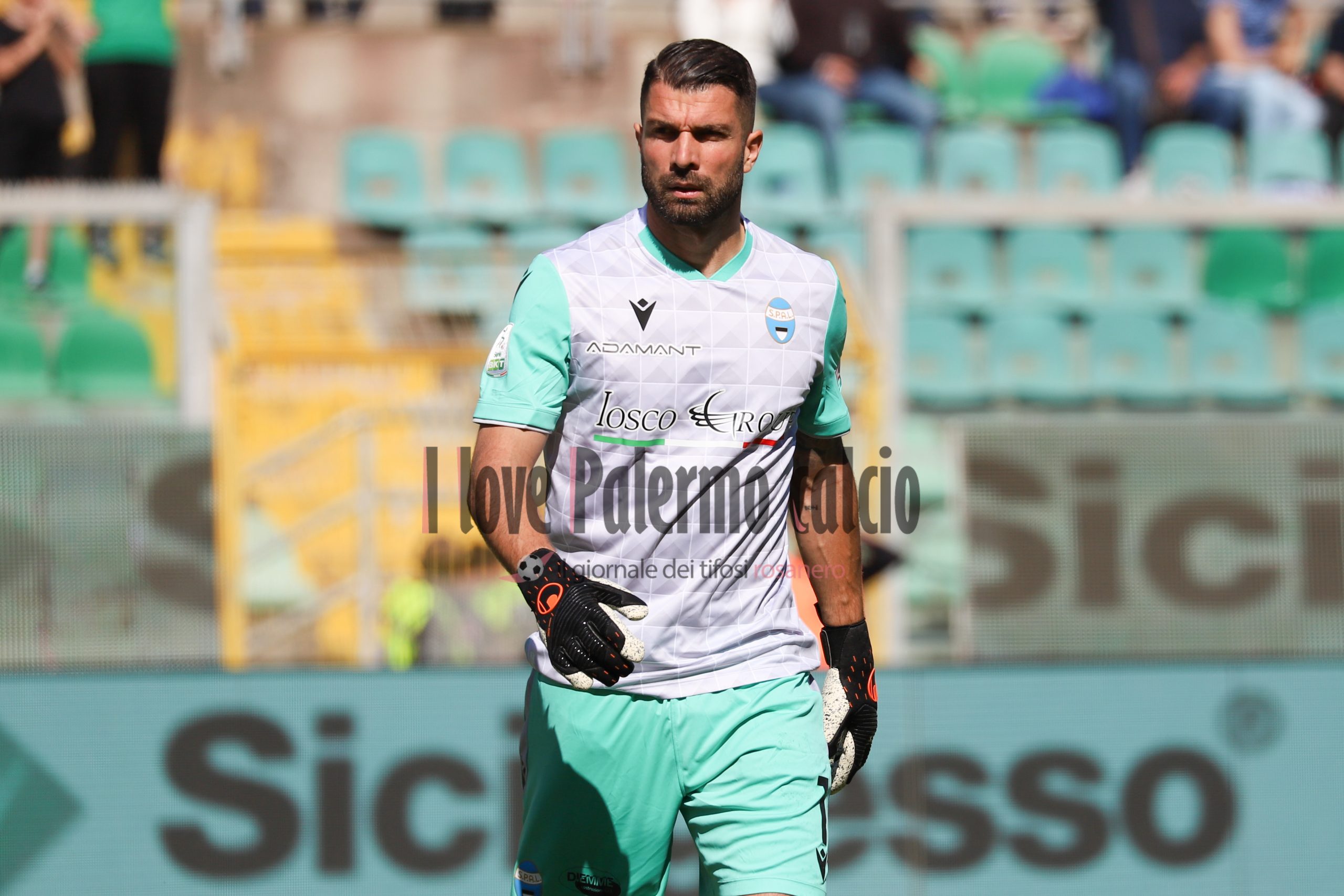 Serie B Palermo-Spal 2-0 (96) alfonso