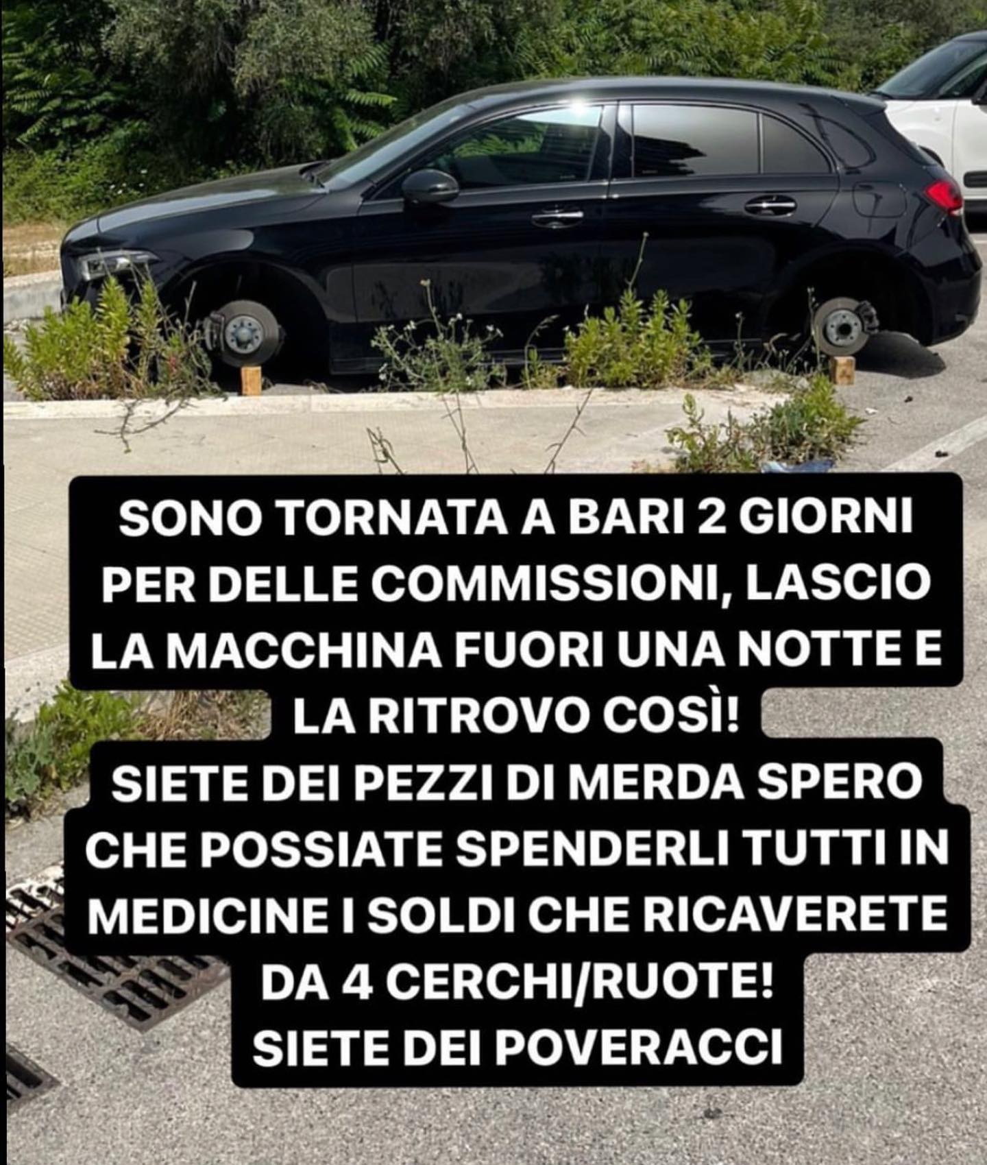 355855911_757969546333663_1988187590276850389_n