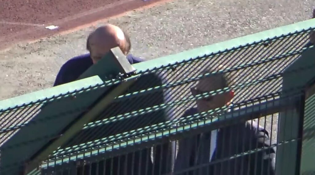 Moggi-Pessotto-1024x571