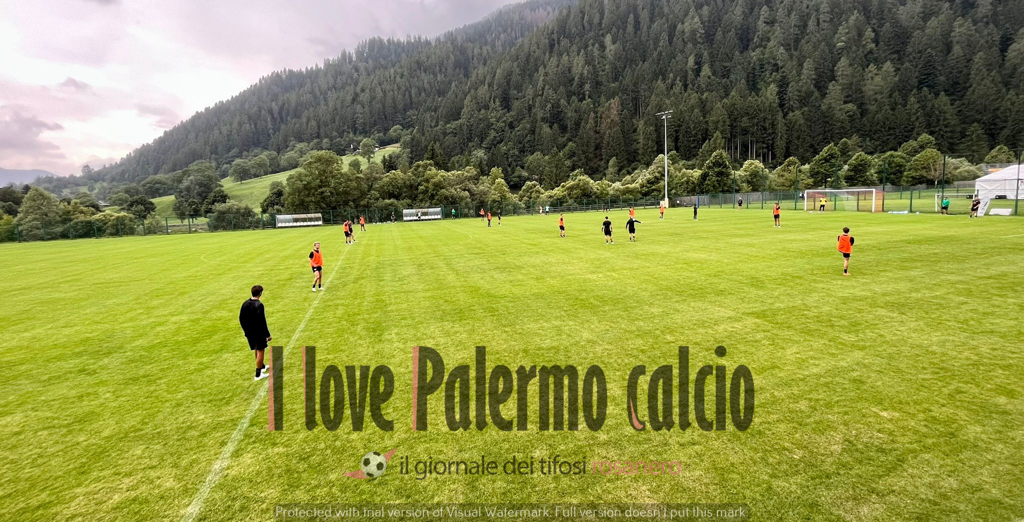 7090621b-2b5c-451c-8c5b-1d2254b33458