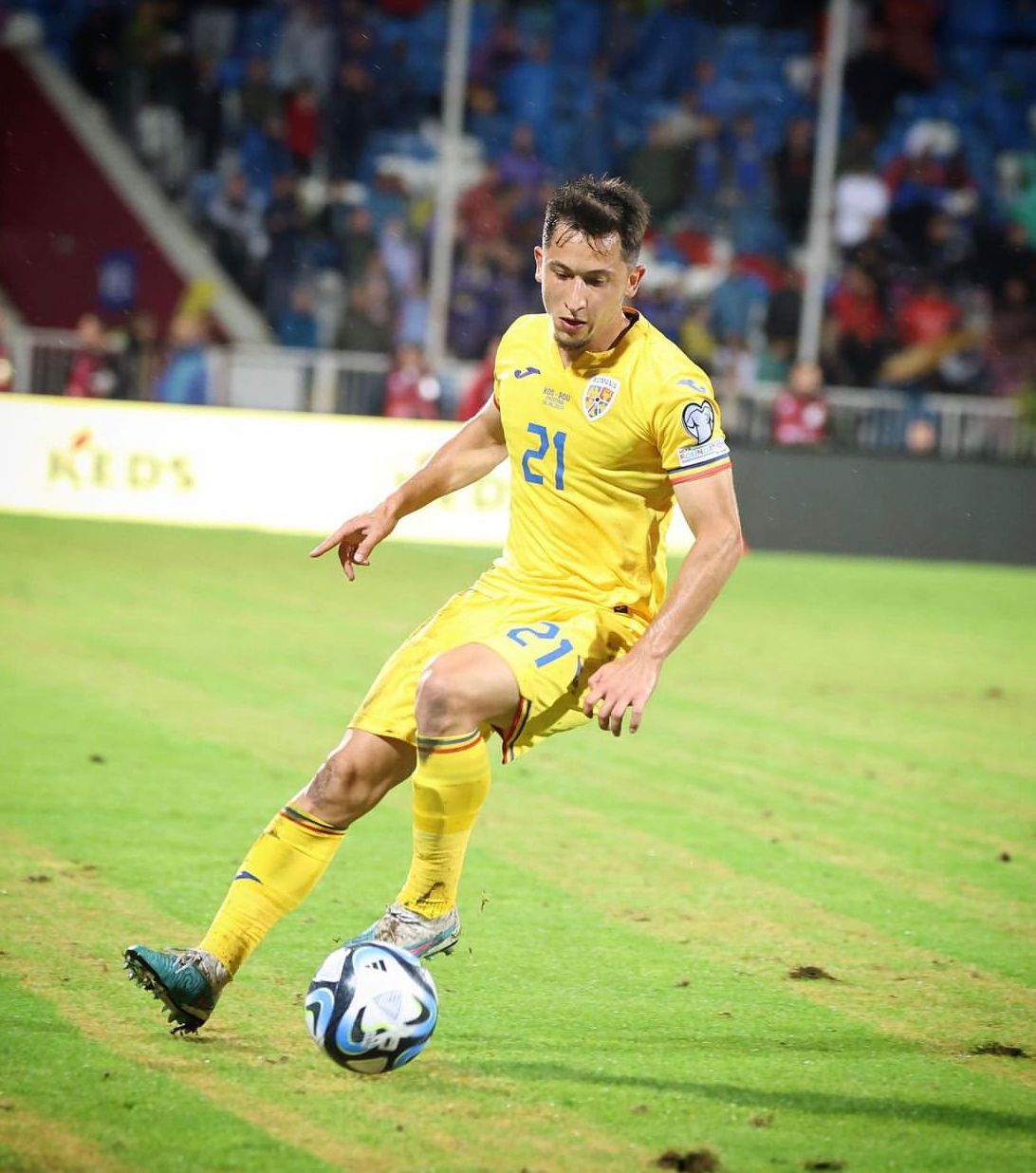 WhatsApp Image 2023-08-08 at 22.30.51