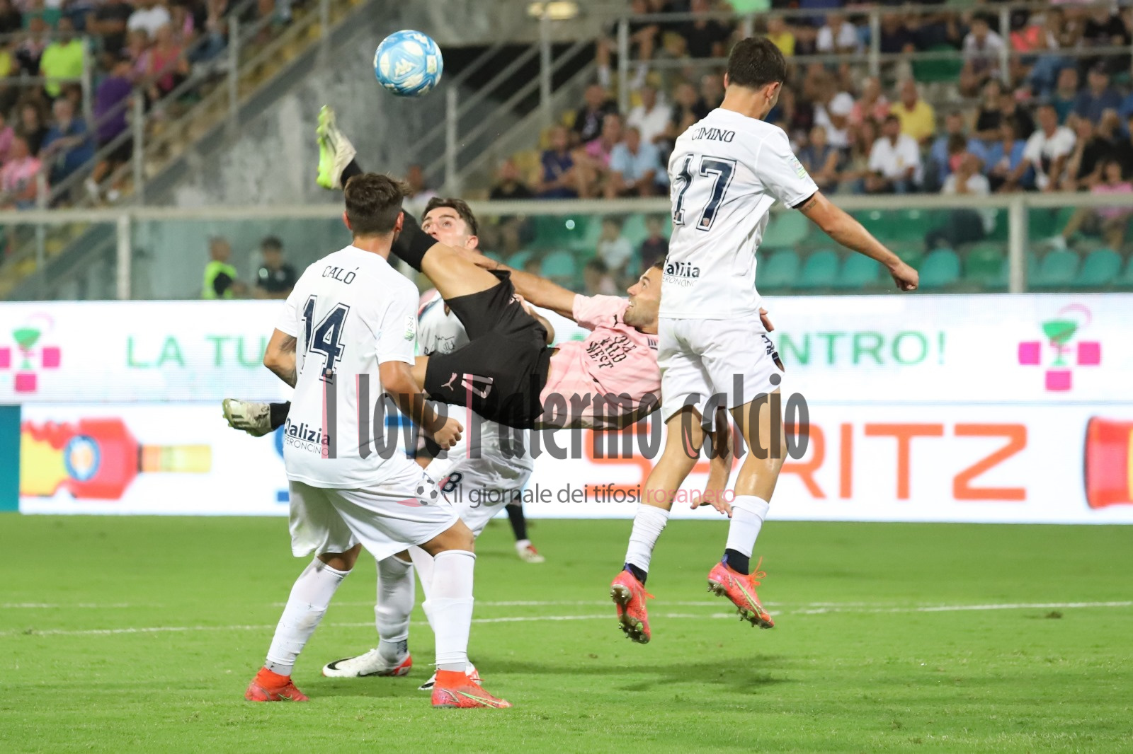 palermo cosenza di francesco