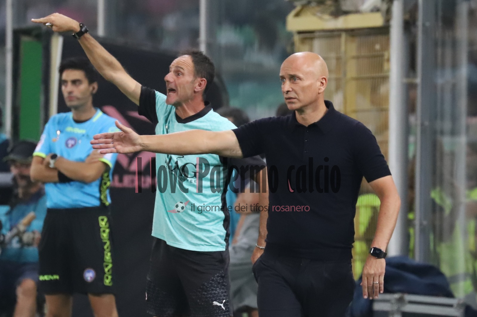 Palermo Cosenza 0-0 primo tempo (5) corini lanna