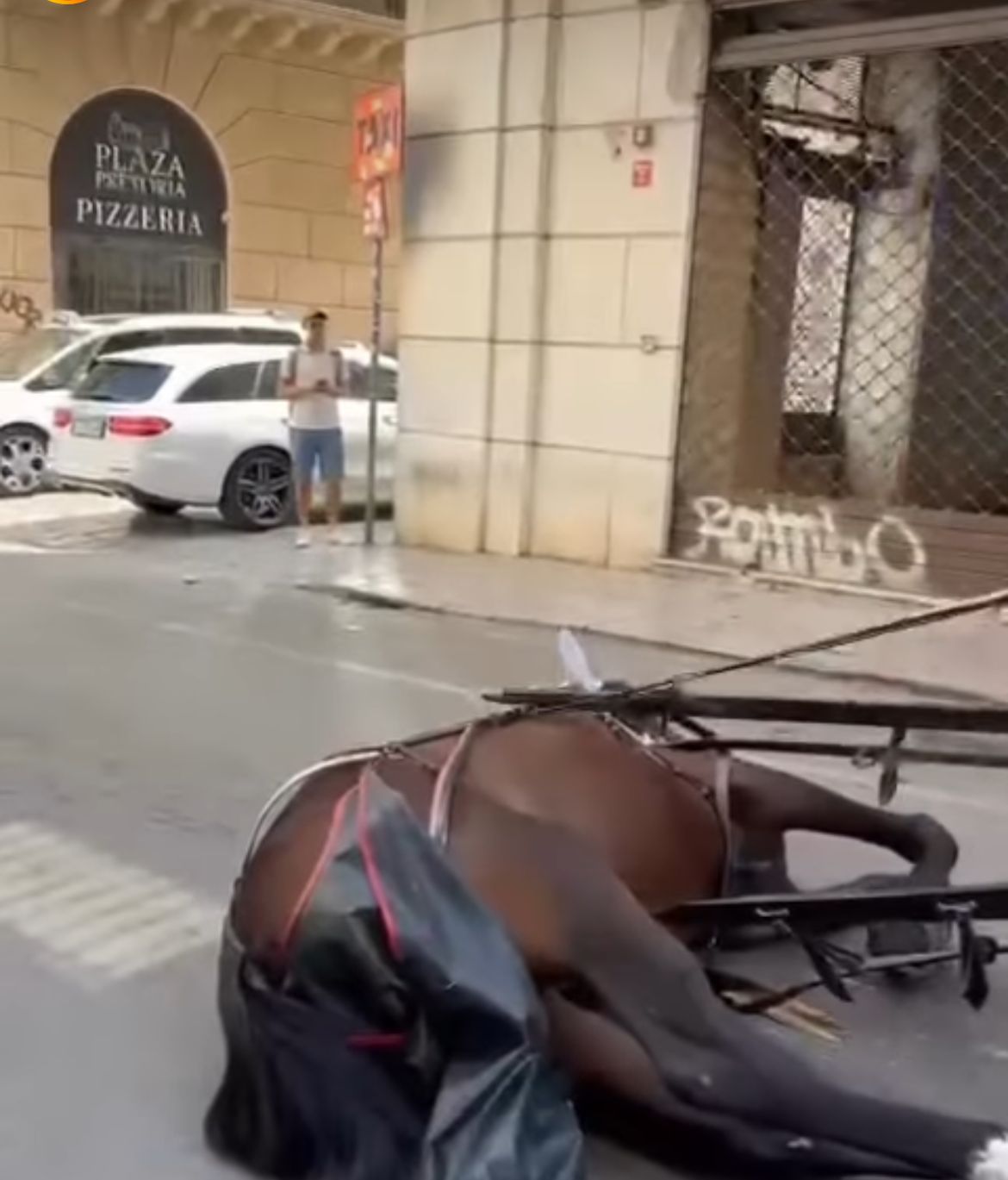 WhatsApp Image 2023-09-08 at 16.00.42