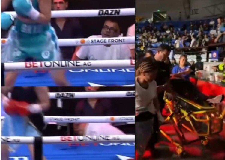 WhatsApp Image 2023-09-19 at 21.23.21