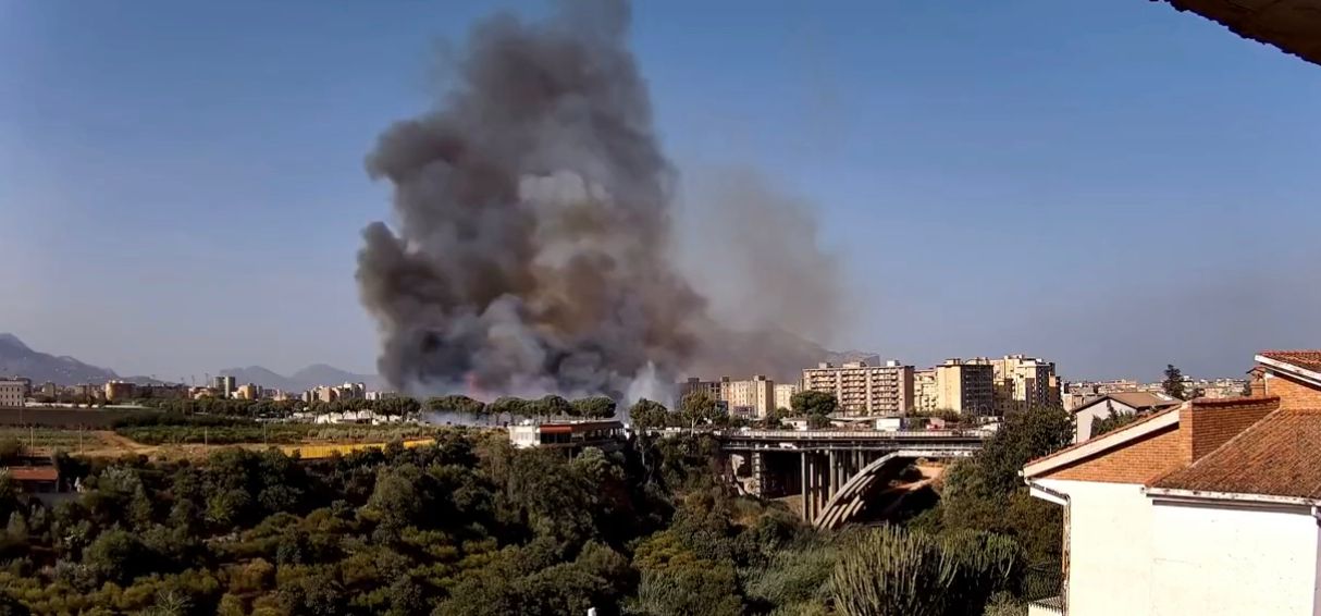 WhatsApp Image 2023-09-22 at 16.50.42