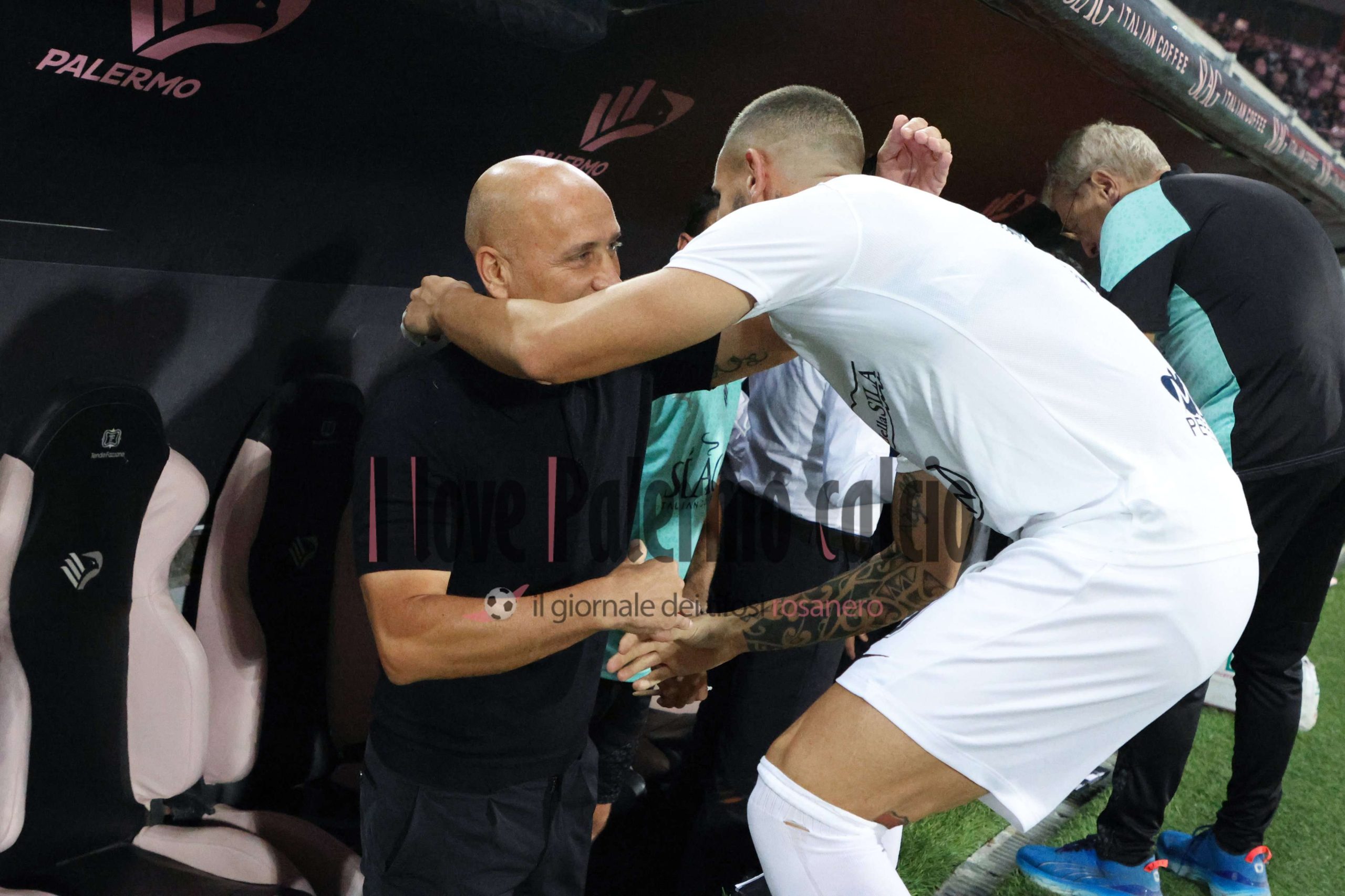 palermo cosenza 0-1 (29) tutino corini