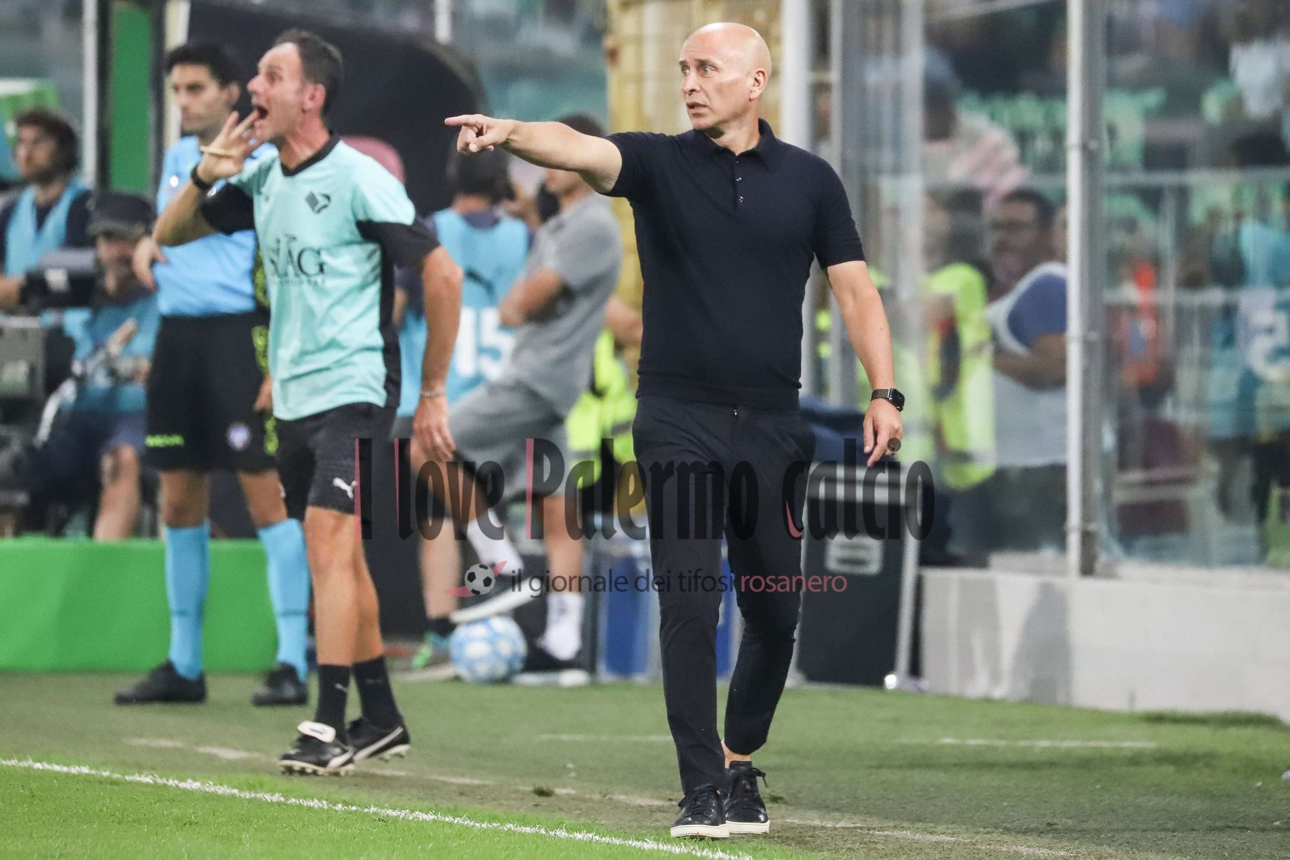 palermo cosenza 0-1 (49) corini