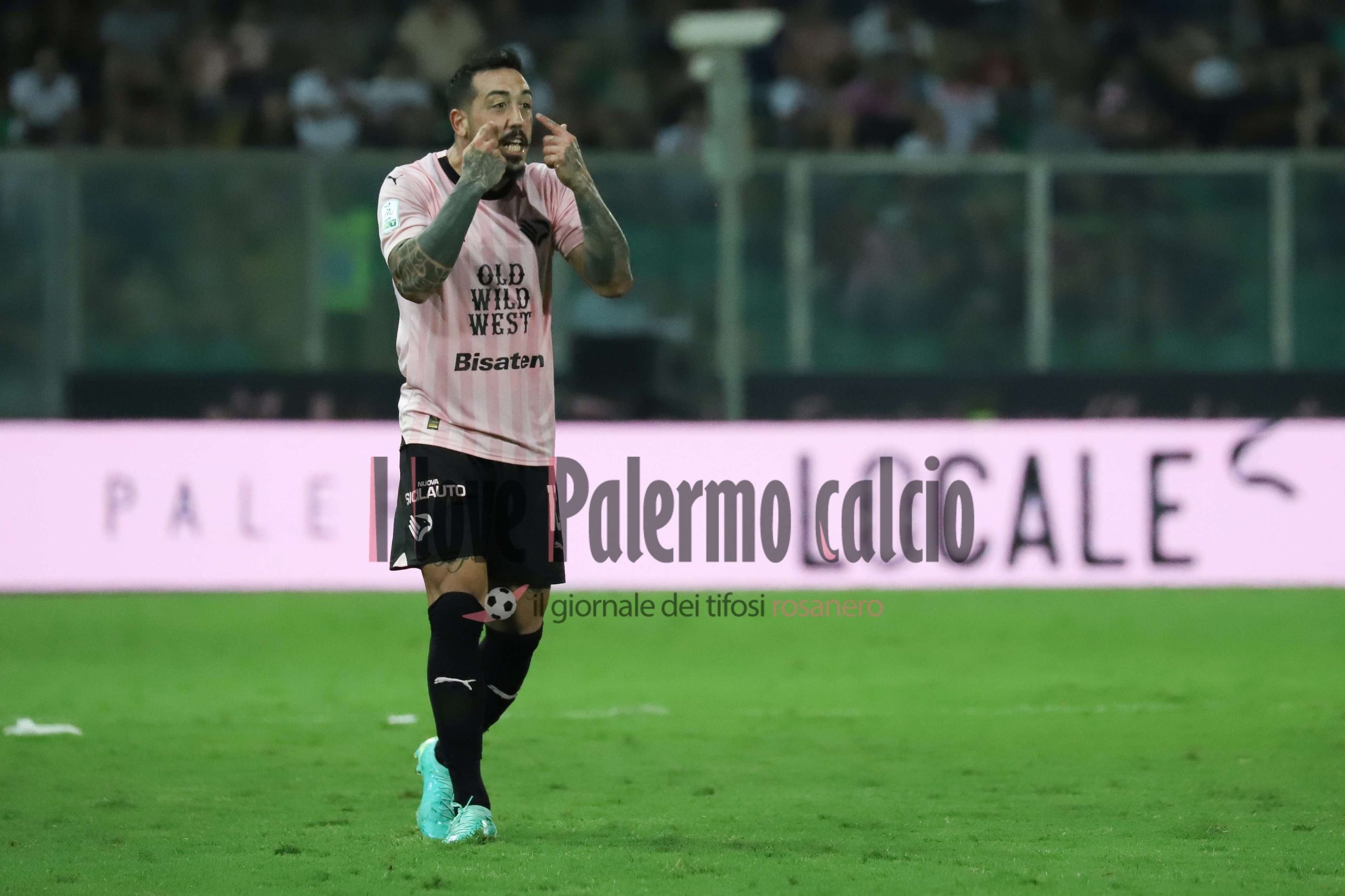 palermo cosenza 0-1 (84) Di Mariano