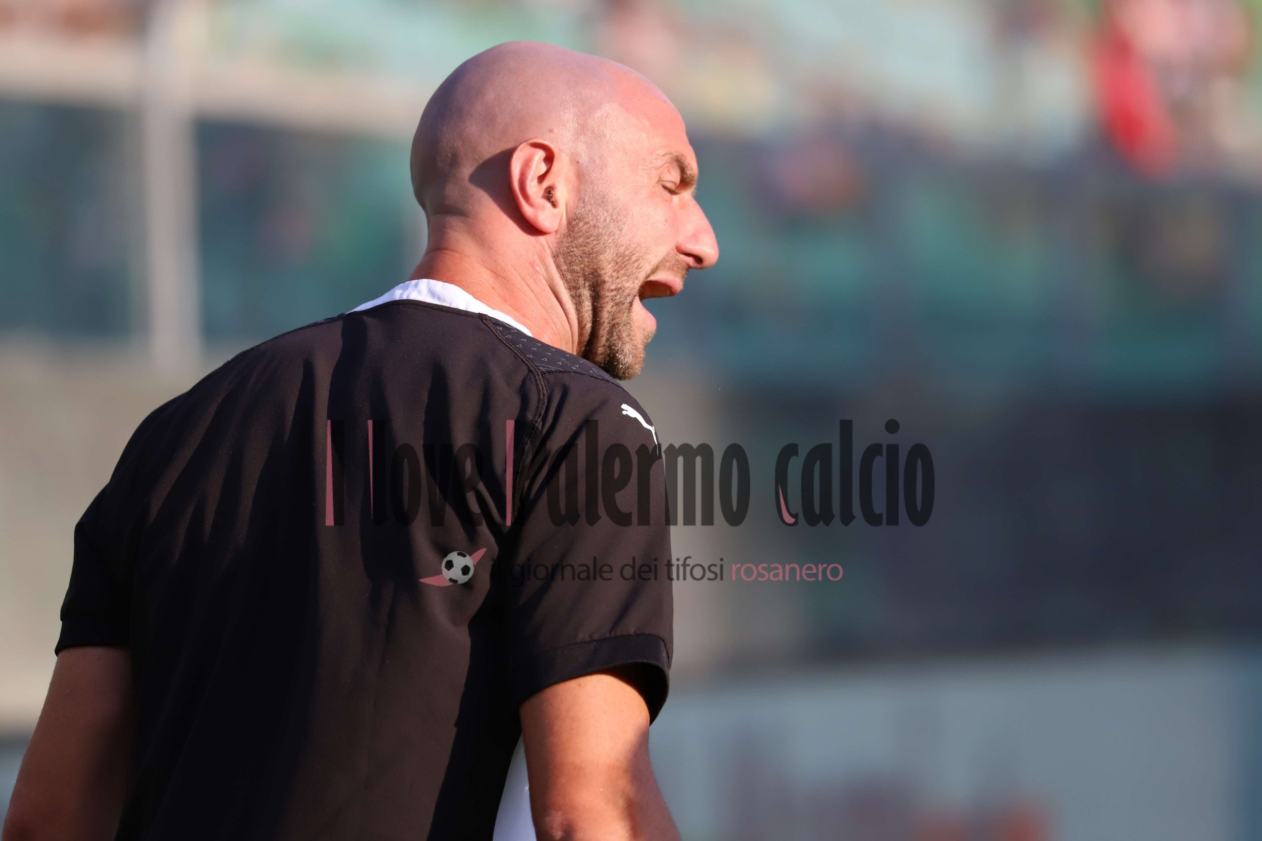 palermo feralpisalò serie b 3-0 (26) Lucioni