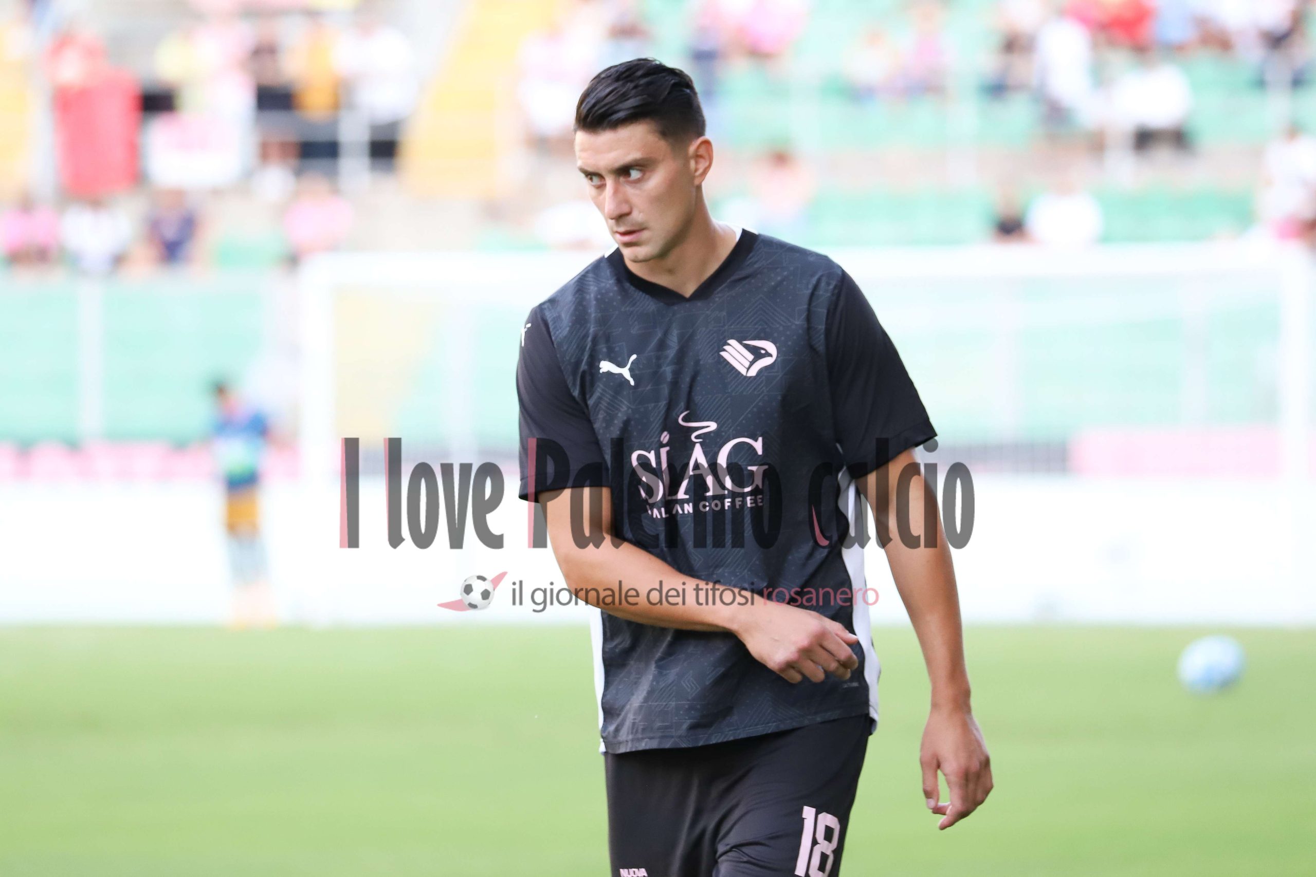 palermo feralpisalò serie b 3-0 (34) Nedelcearu