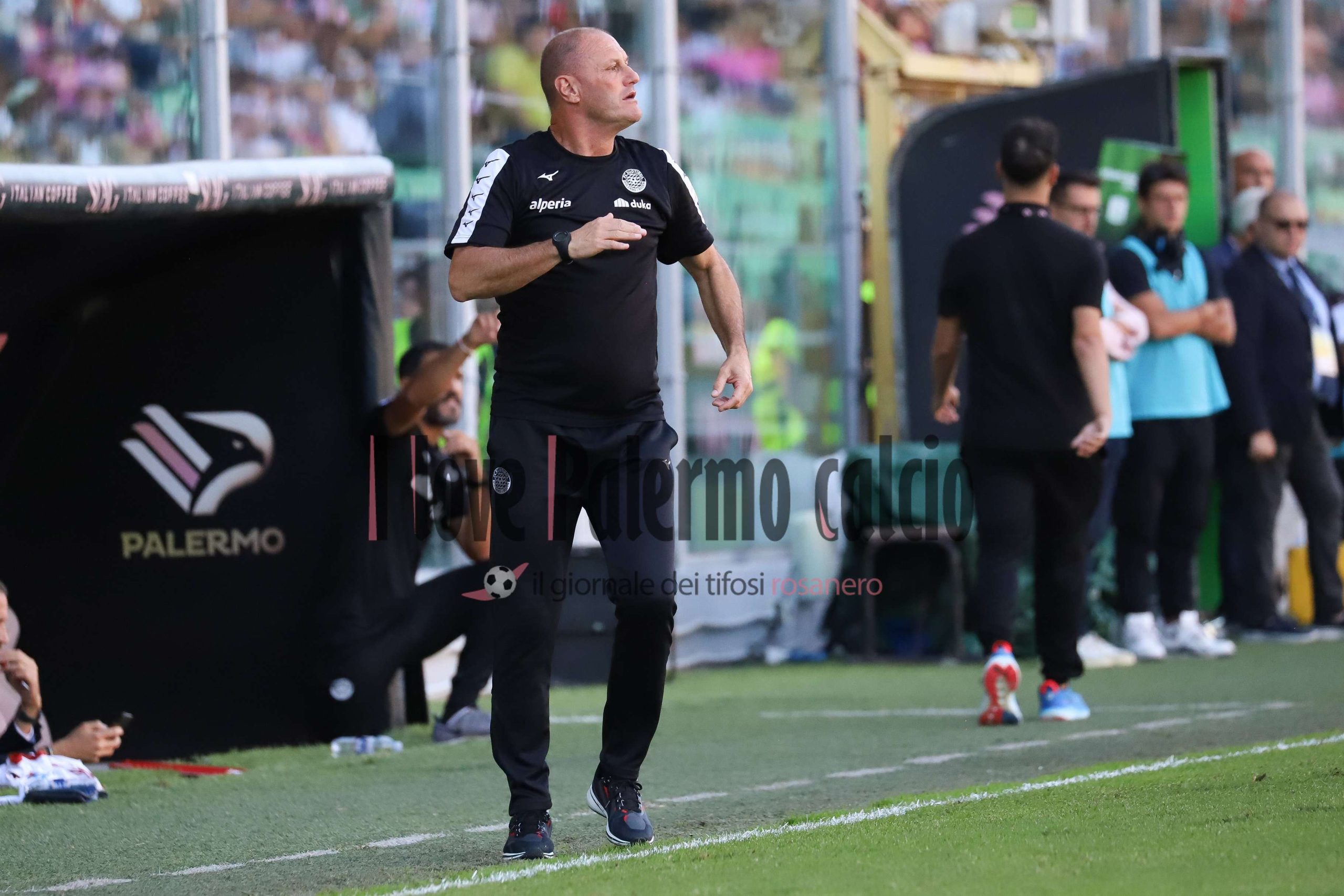 Serie B Palermo-Sudtirol 2-1 (54) bisoli