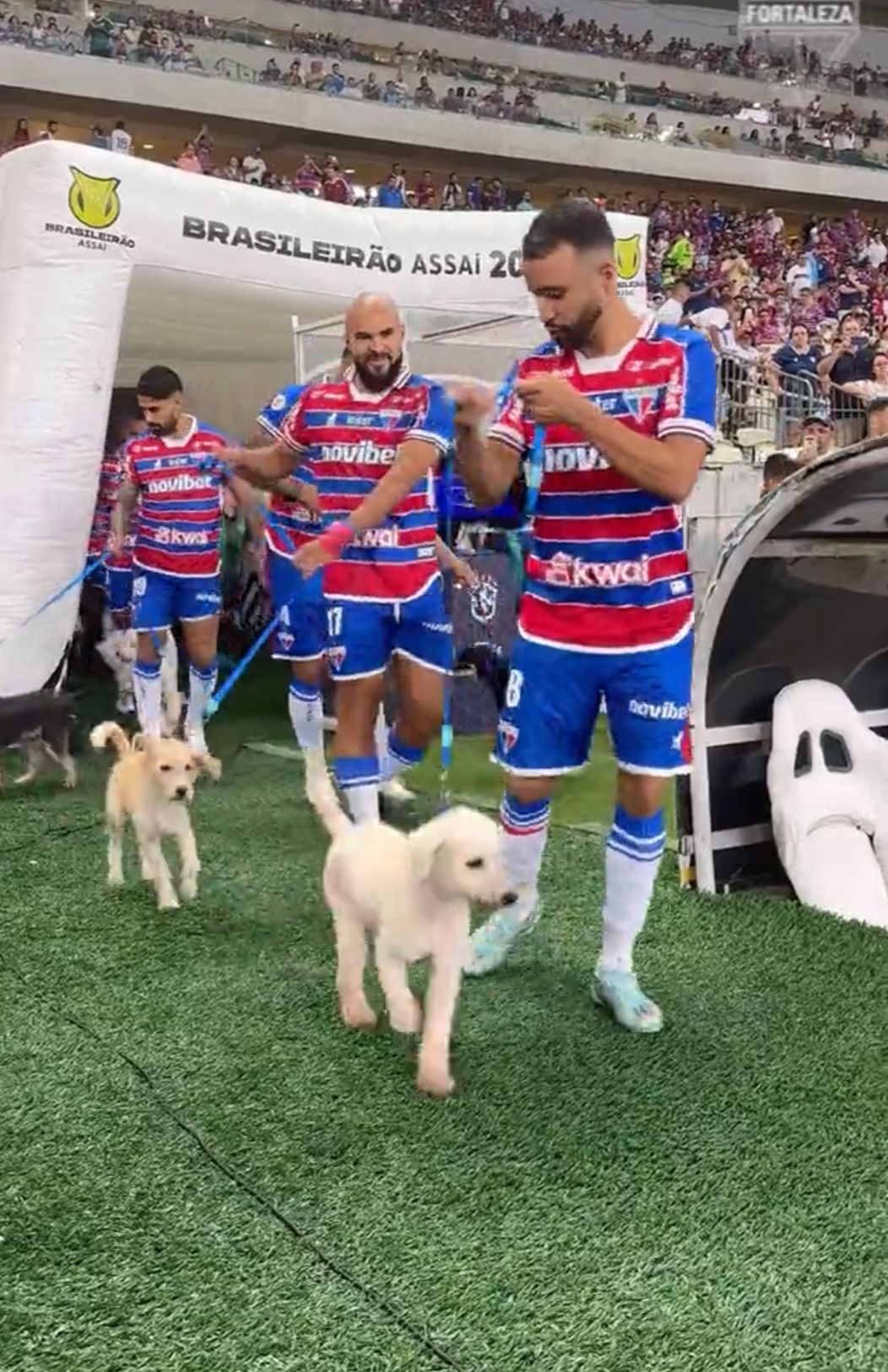 WhatsApp Image 2023-10-09 at 14.32.04