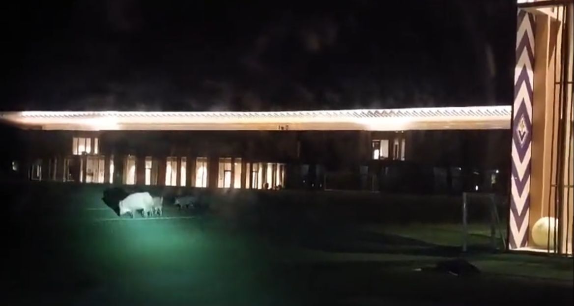 WhatsApp Image 2023-10-12 at 15.53.20