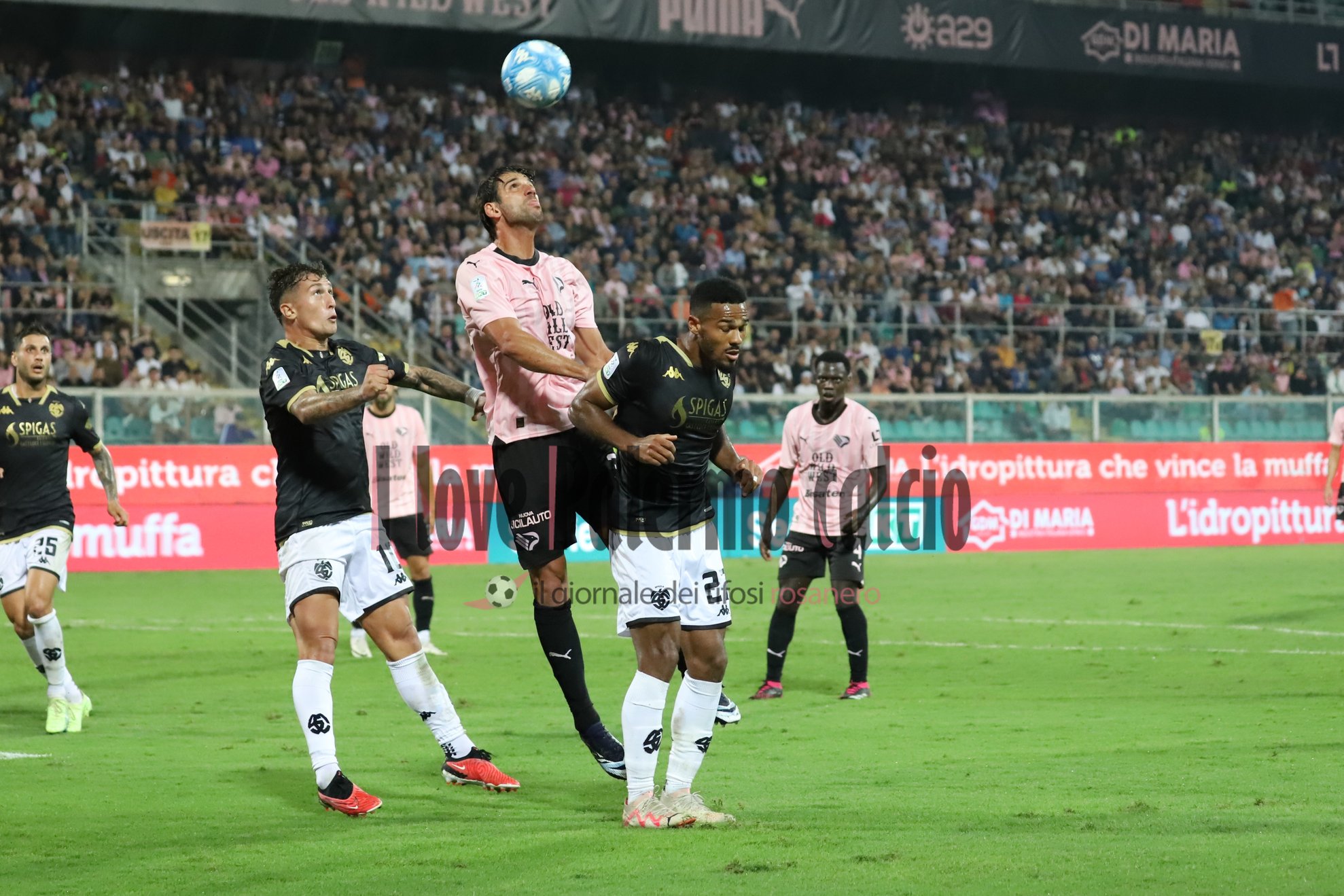 palermo spezia 2-2 (102) ceccaroni