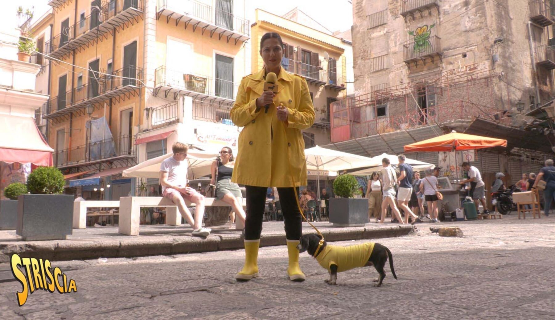 petyx-vucciria-1800x1040