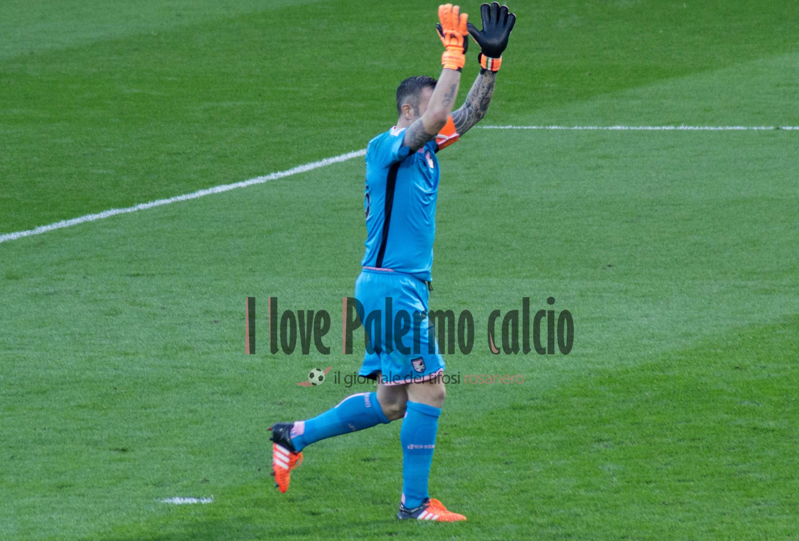 sorrentino stefano (5)